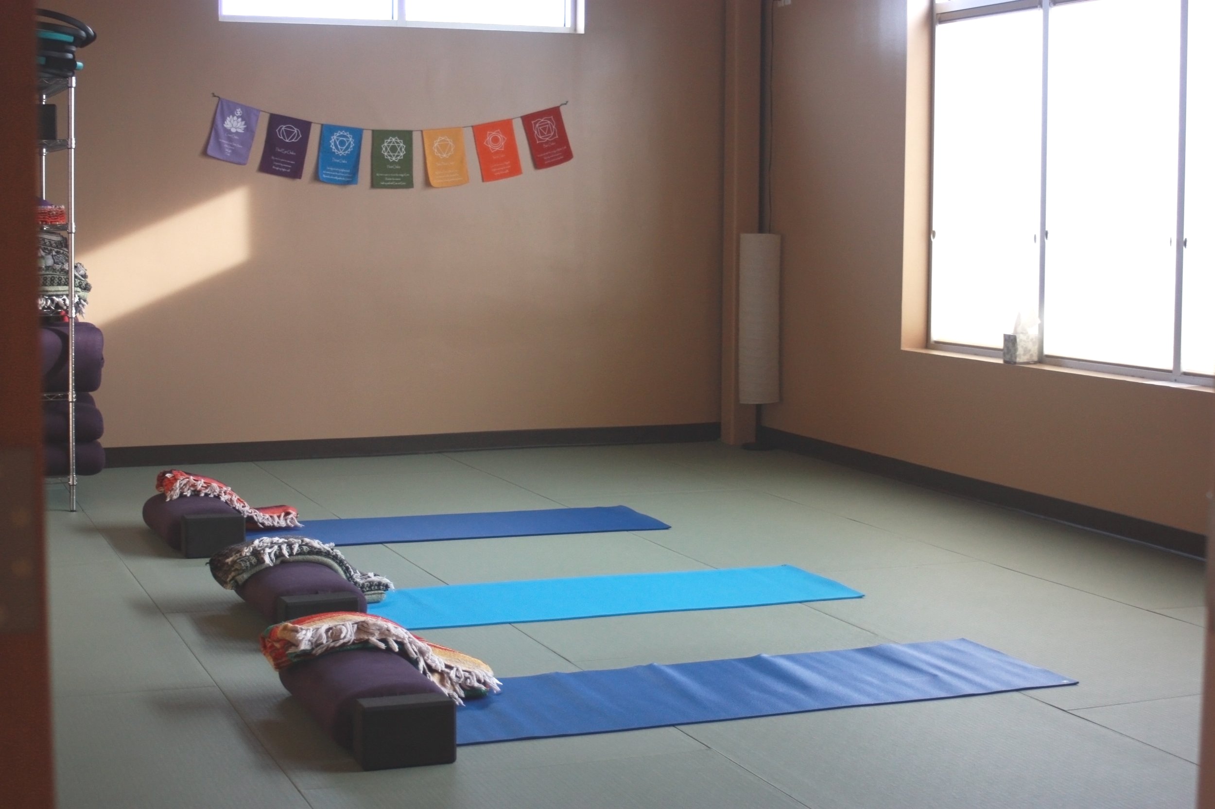 Eden Prairie — Green Lotus Yoga & Healing Center