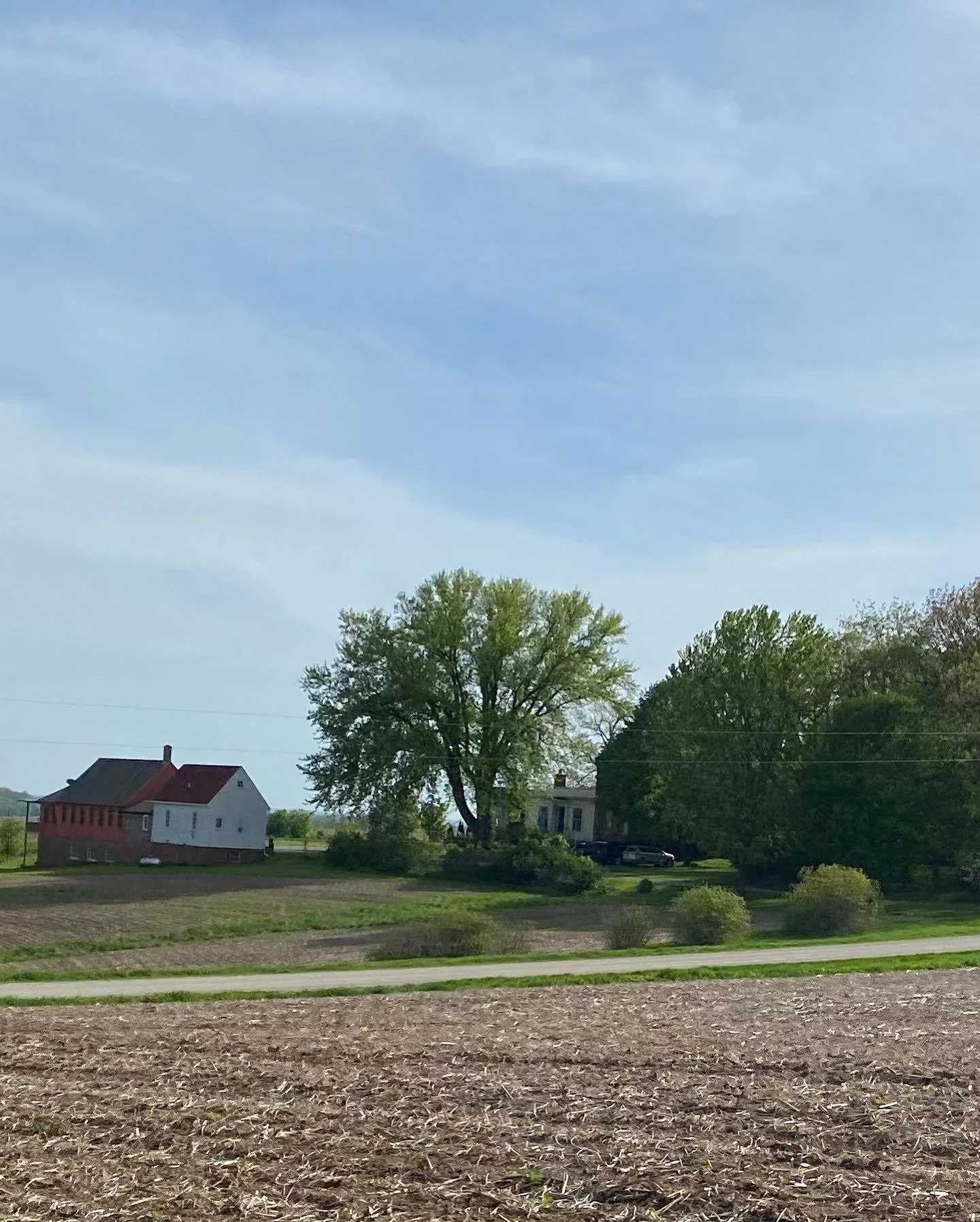 450BE80B-7BEB-4351-BA5C-A70FF226B314 (1).jpg