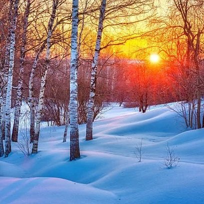 Marcia's Musings: This Magic Moment