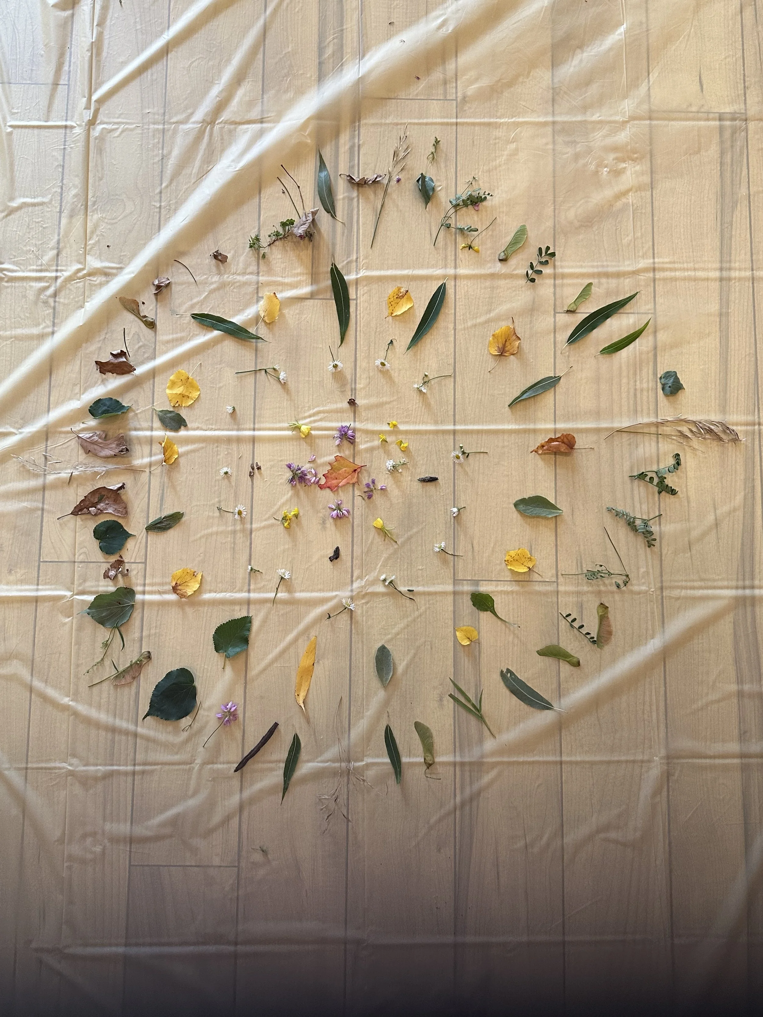 kids yoga camp (7).jpeg