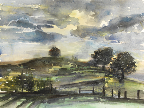 Field Hill Trees