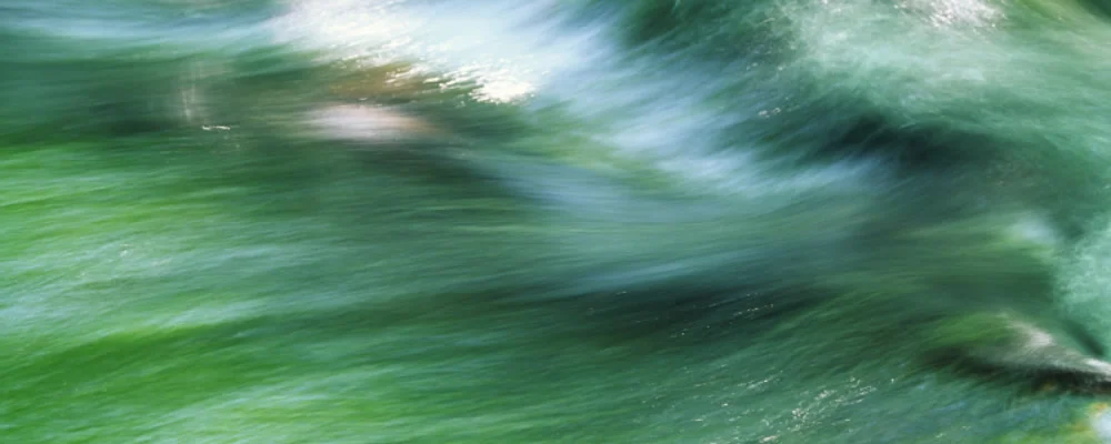 header_image_blog.jpg