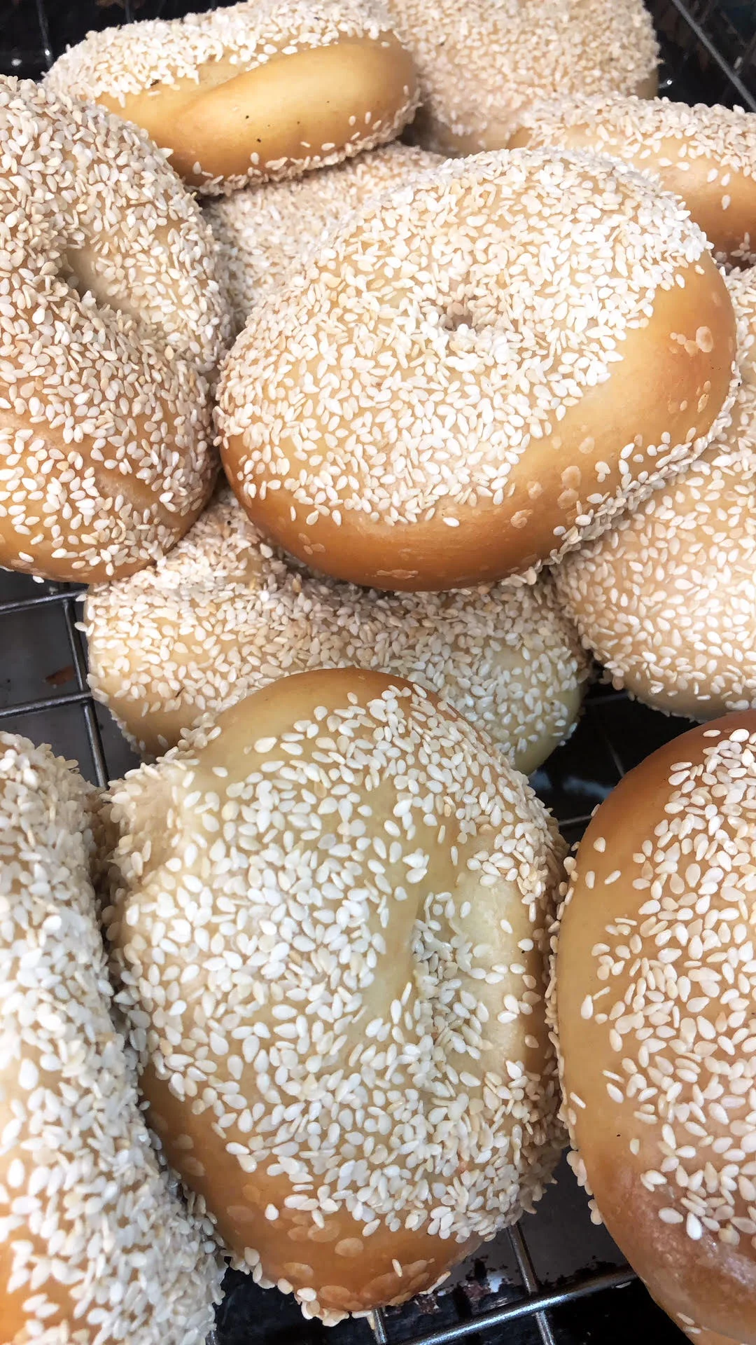 sesame bagels.jpg