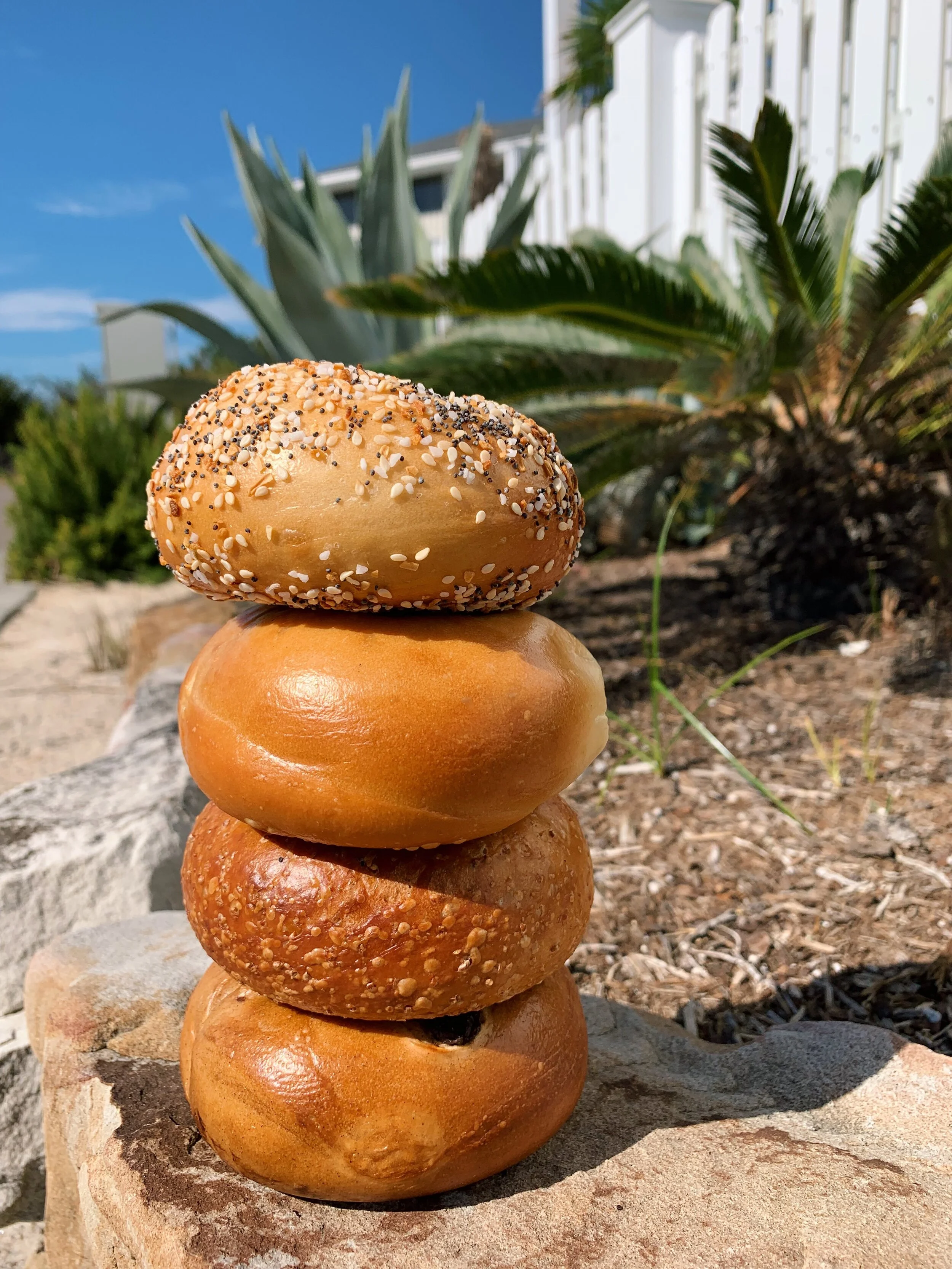 ABOUT — Beach Bagels AwardWinning NY Style Bagels