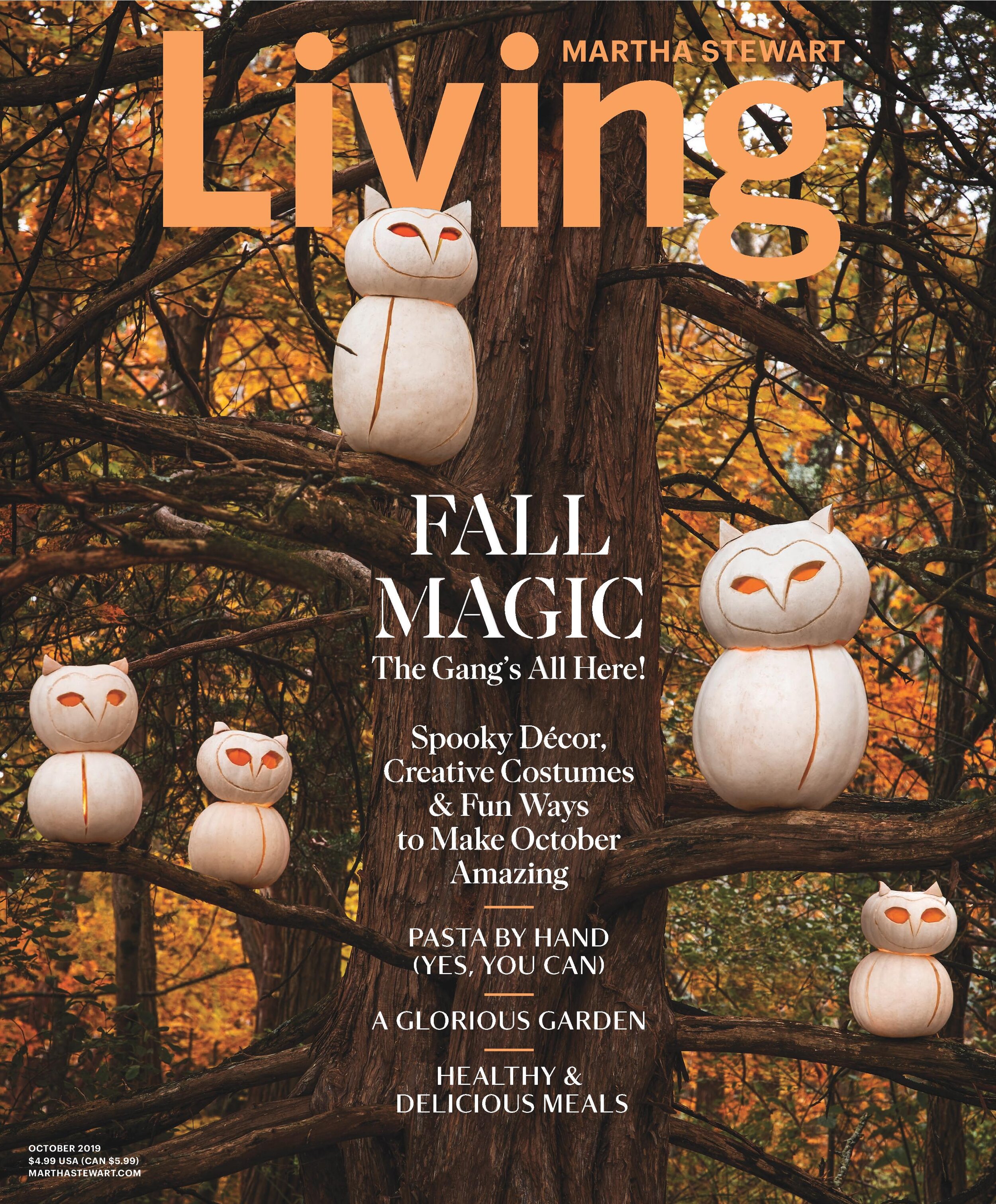 001 Martha Stewart Living Cover-page-001.jpg