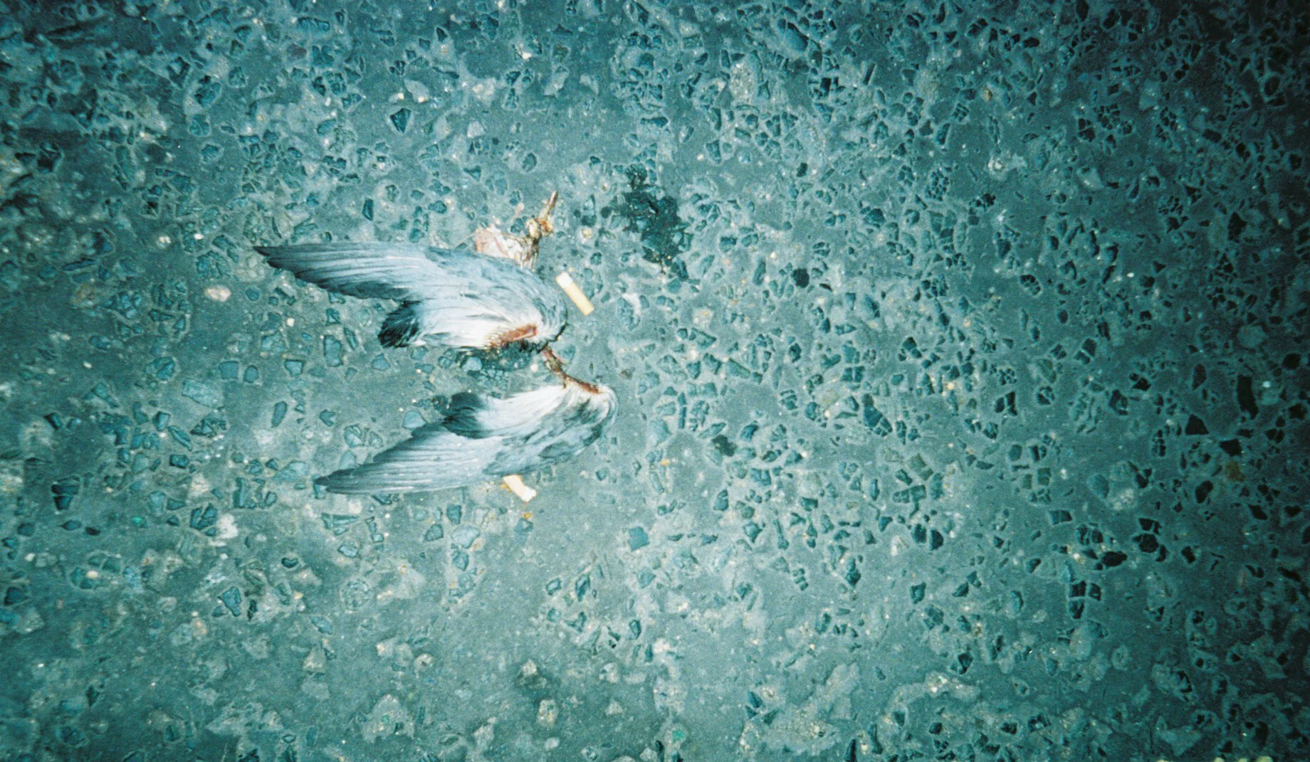 CNV00034.JPG