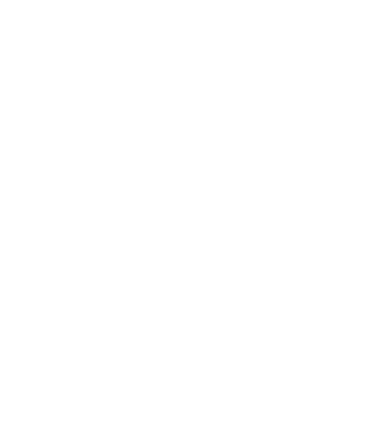 Street Light Boutique