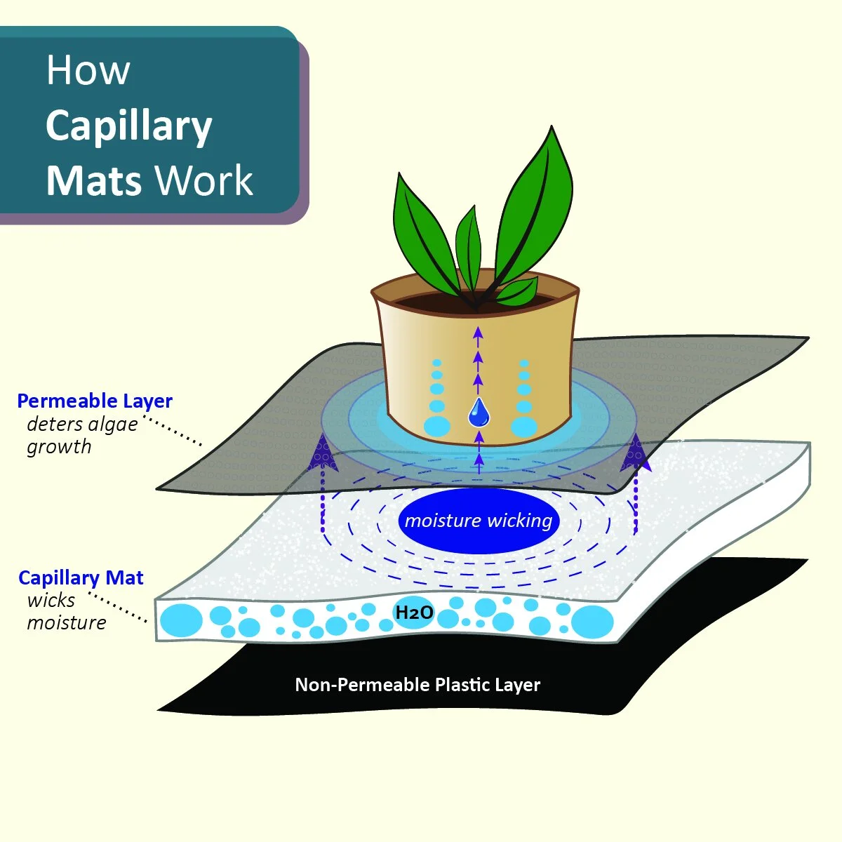 Capillary mat infographic with Title text and background.jpg