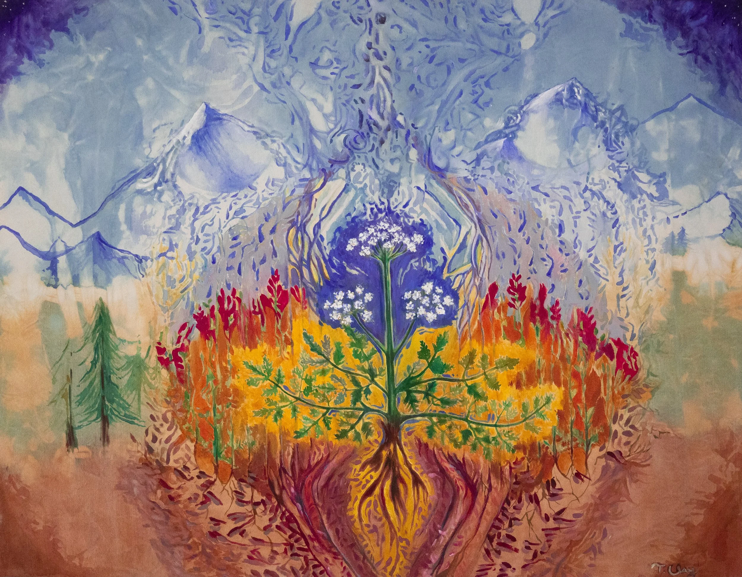 Osha Bear Root TO PRINT.jpg