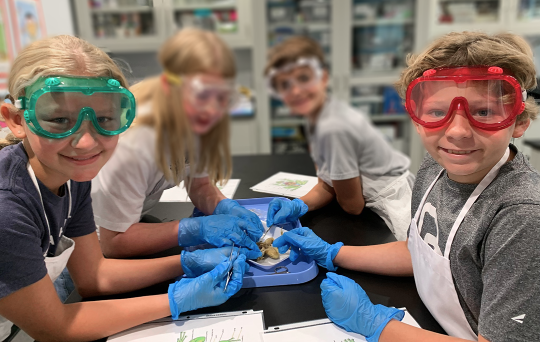 G5 Science Class-for website_sm.png