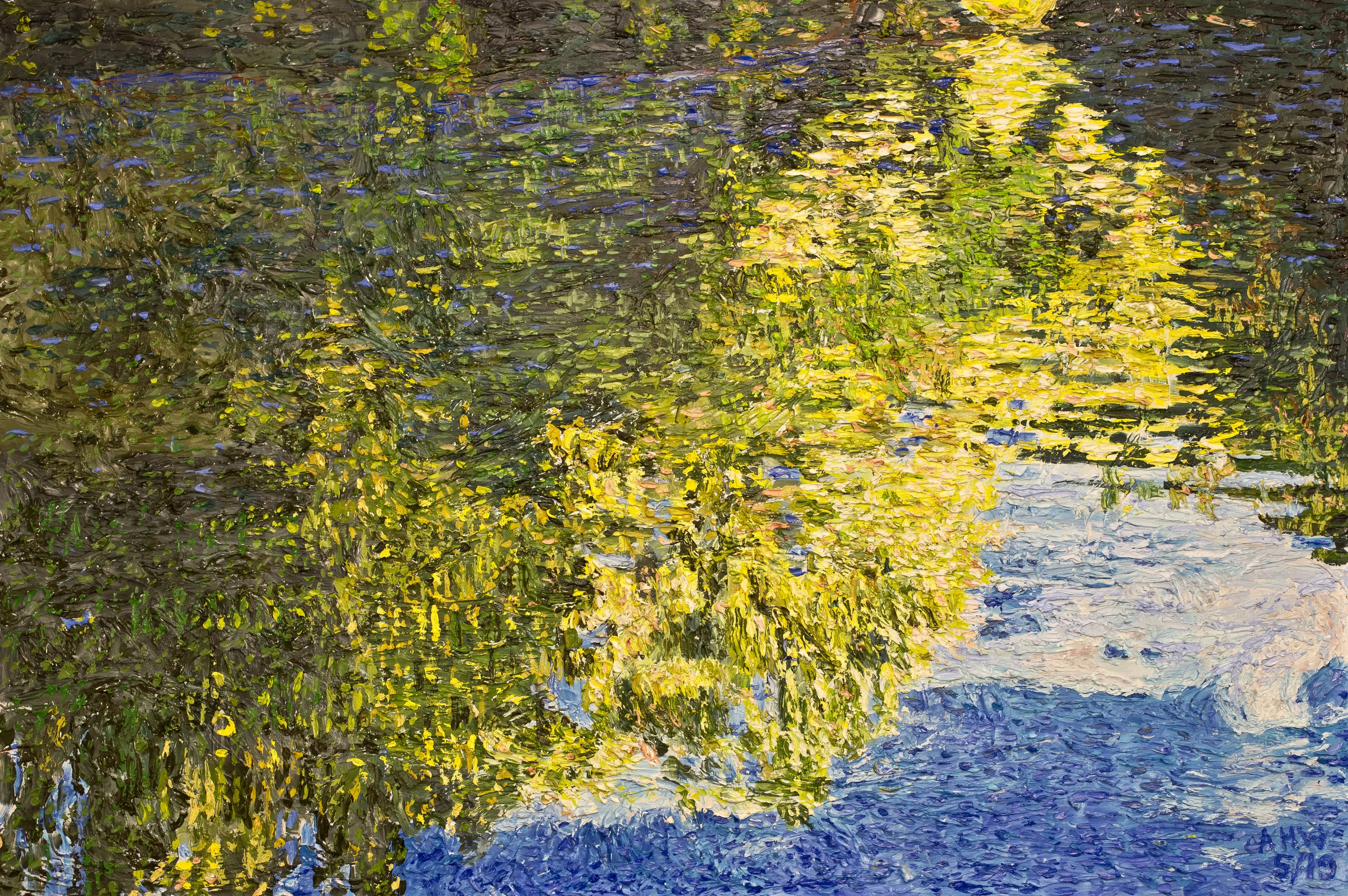 duck pond w/o ducks