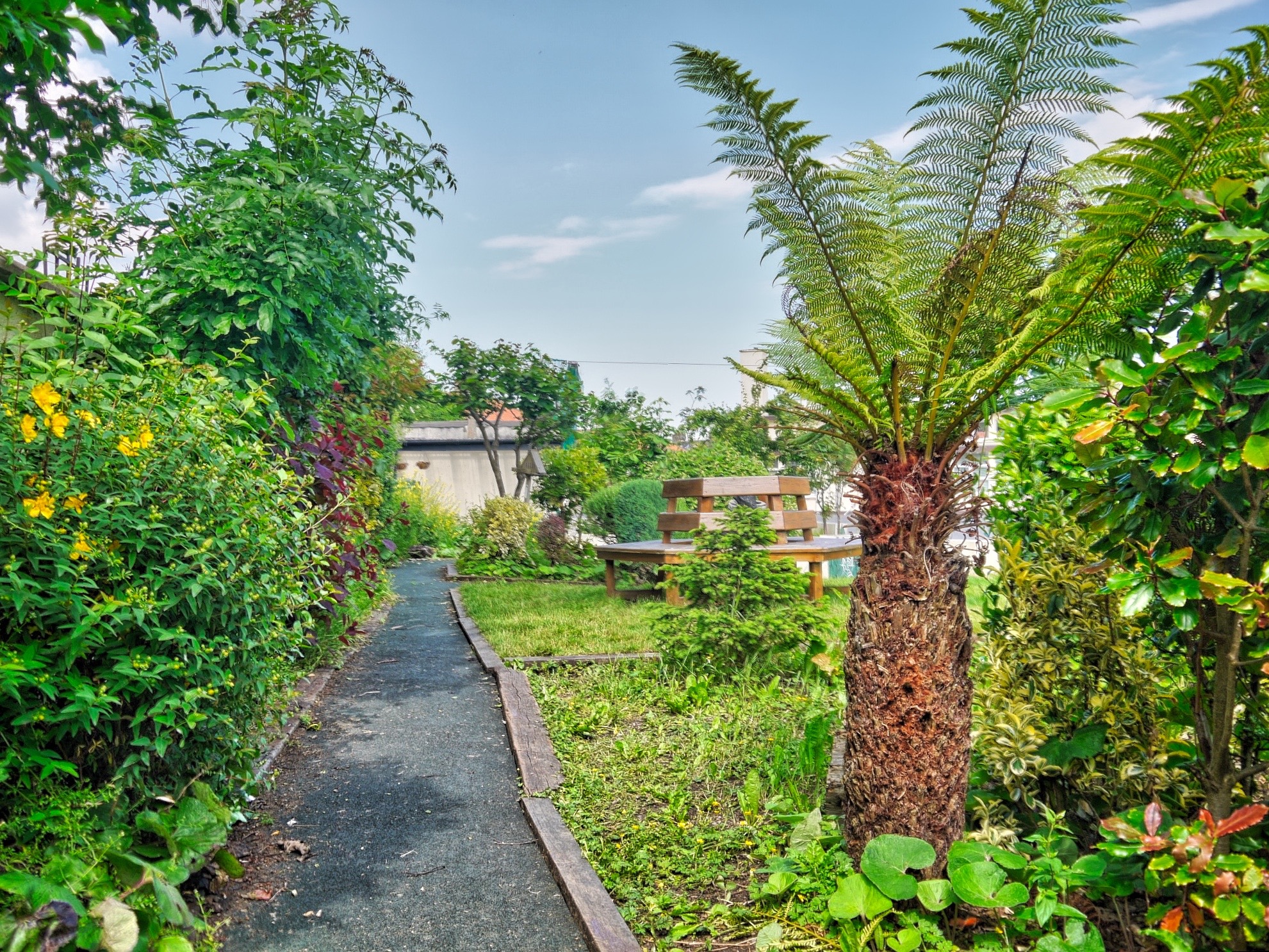 Our Garden