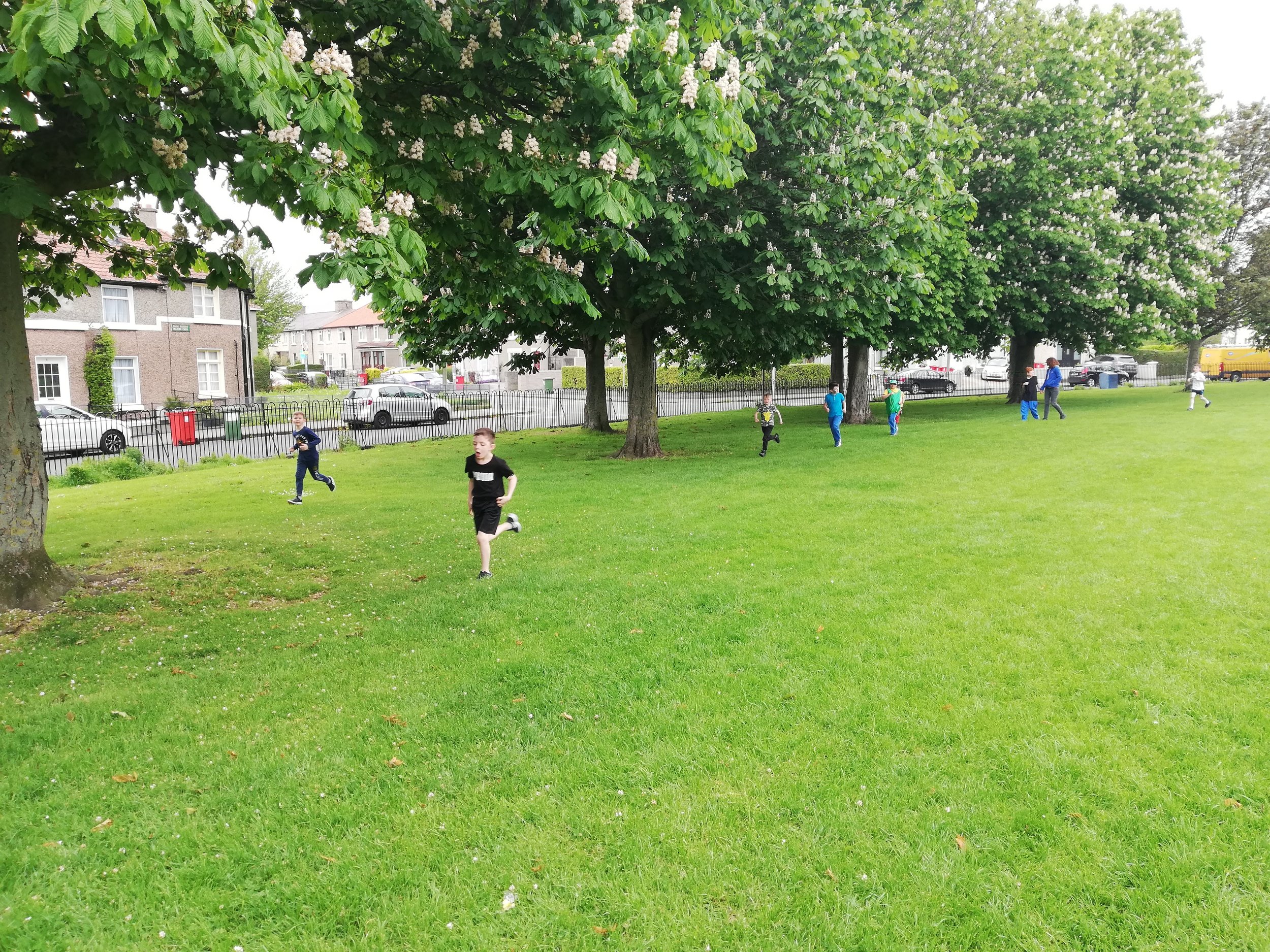 IMG_20190523_113043.jpg