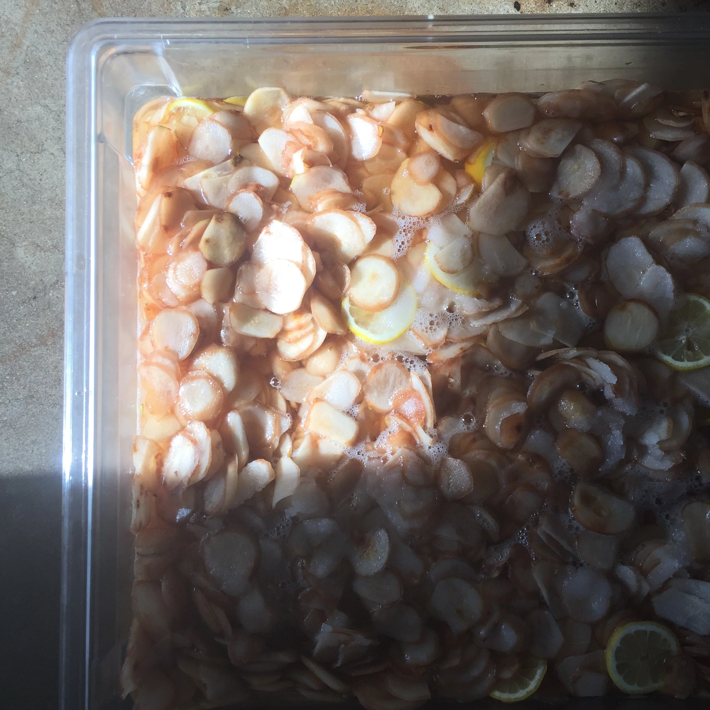 Pears Macerating