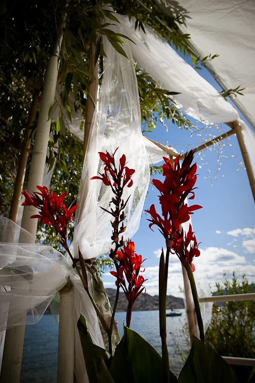 Wedding on the beach
