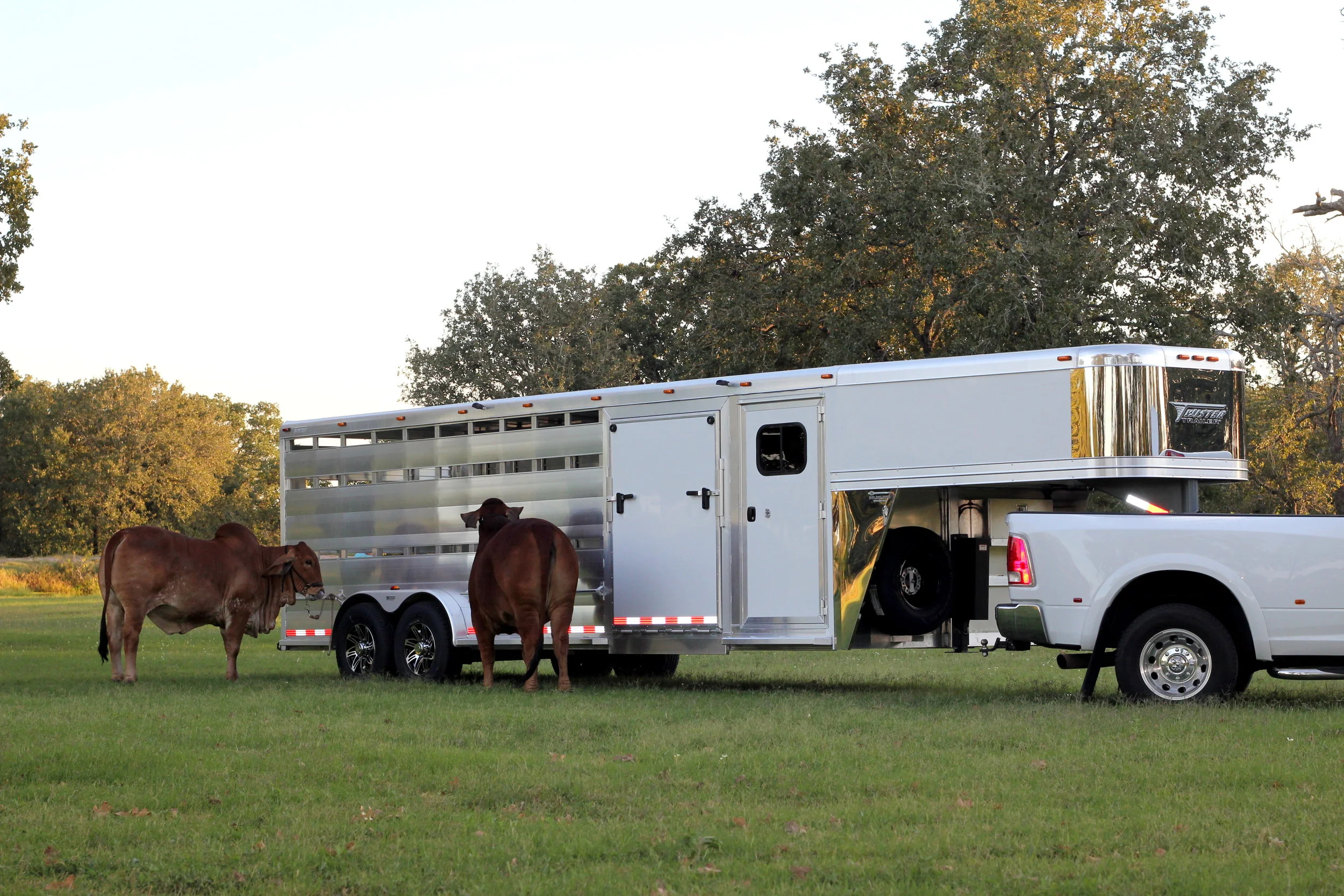 Select Trailer Standard Features — Twister Trailer