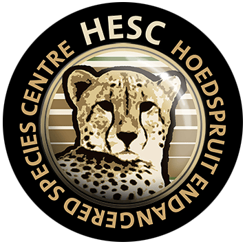 hesc-logo-black_smaller.png
