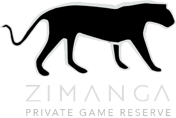 Zimanga_smaller.png