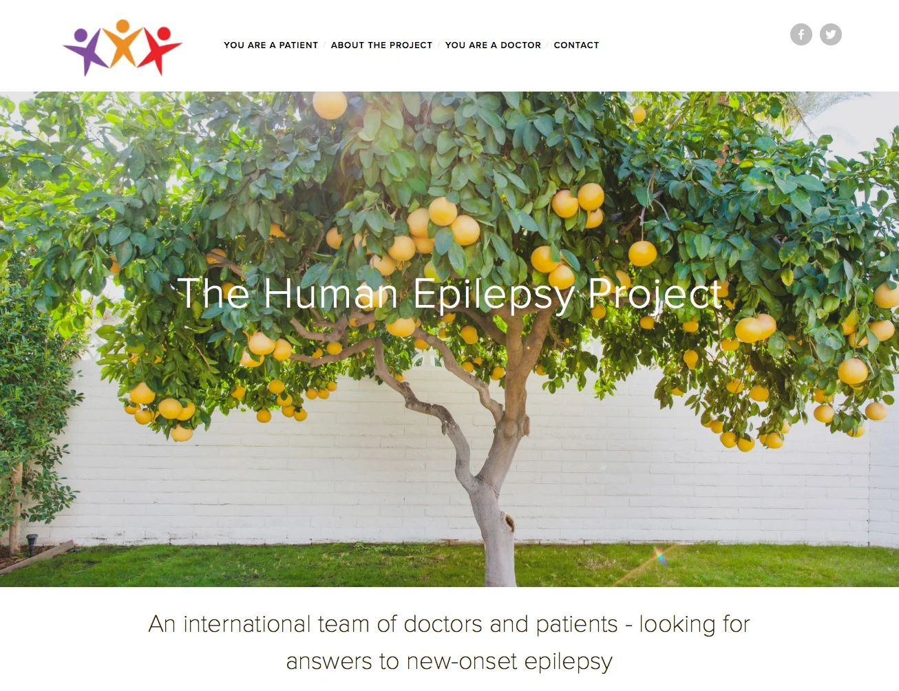 The Human Epilepsy Project