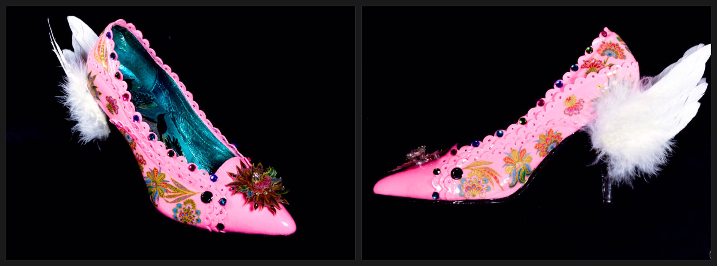 Volar Shoe Collage 2.jpg