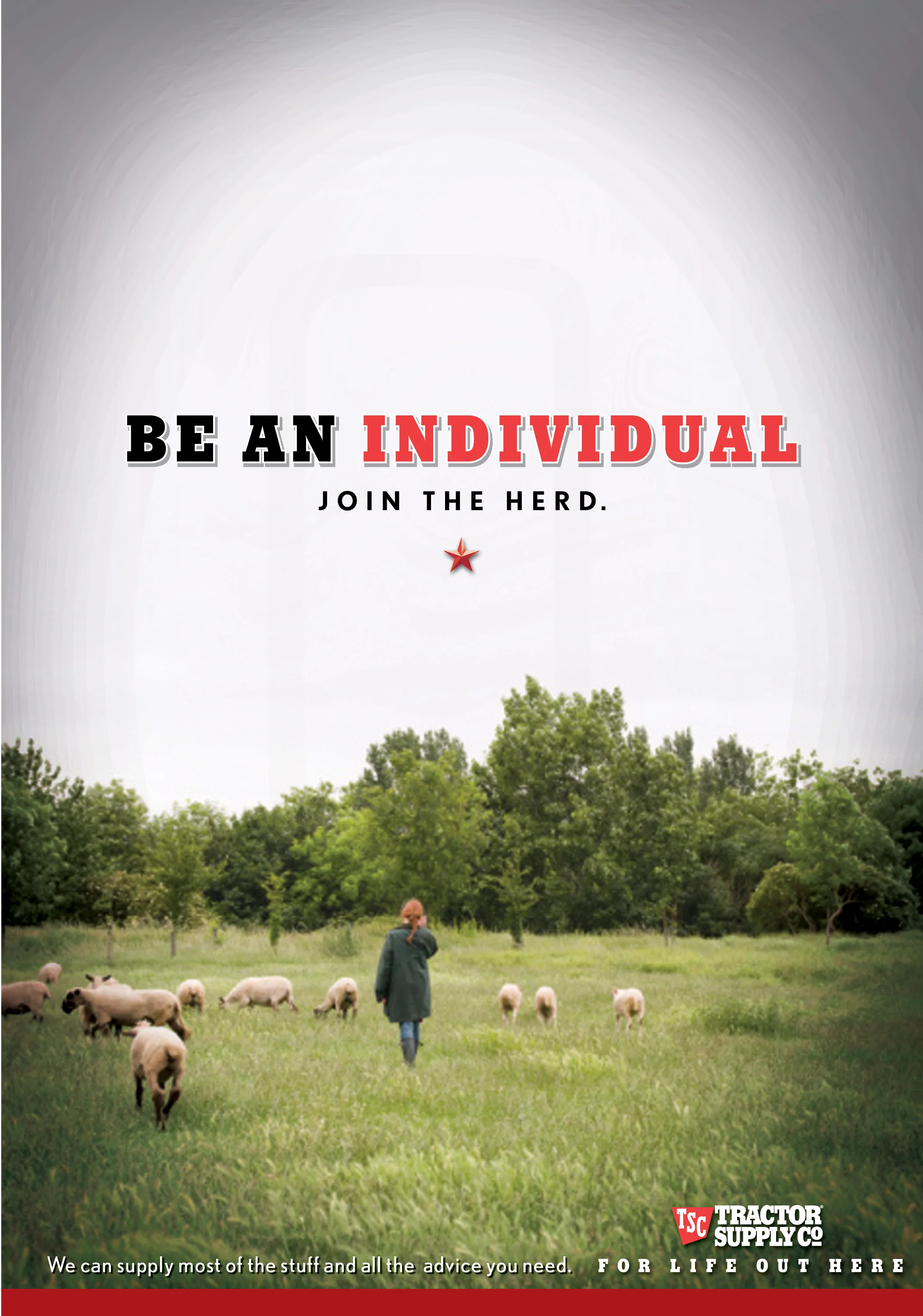 Tractor Supply Print — Collin Sheehan / Copywriter