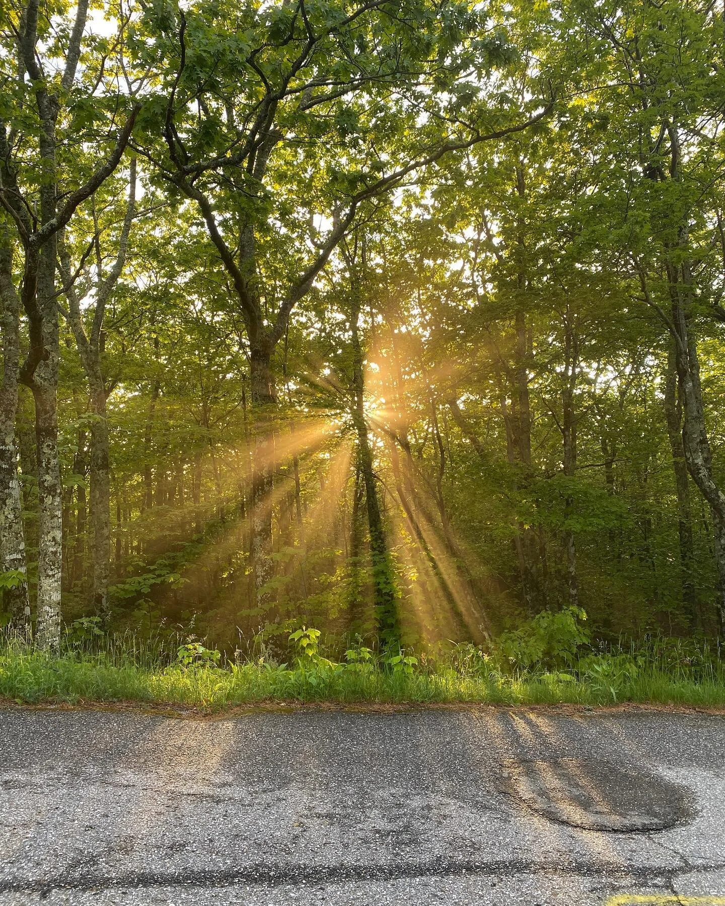 This was from a hike up Battie a couple weeks ago but thought it was a nice way to celebrate summer light.