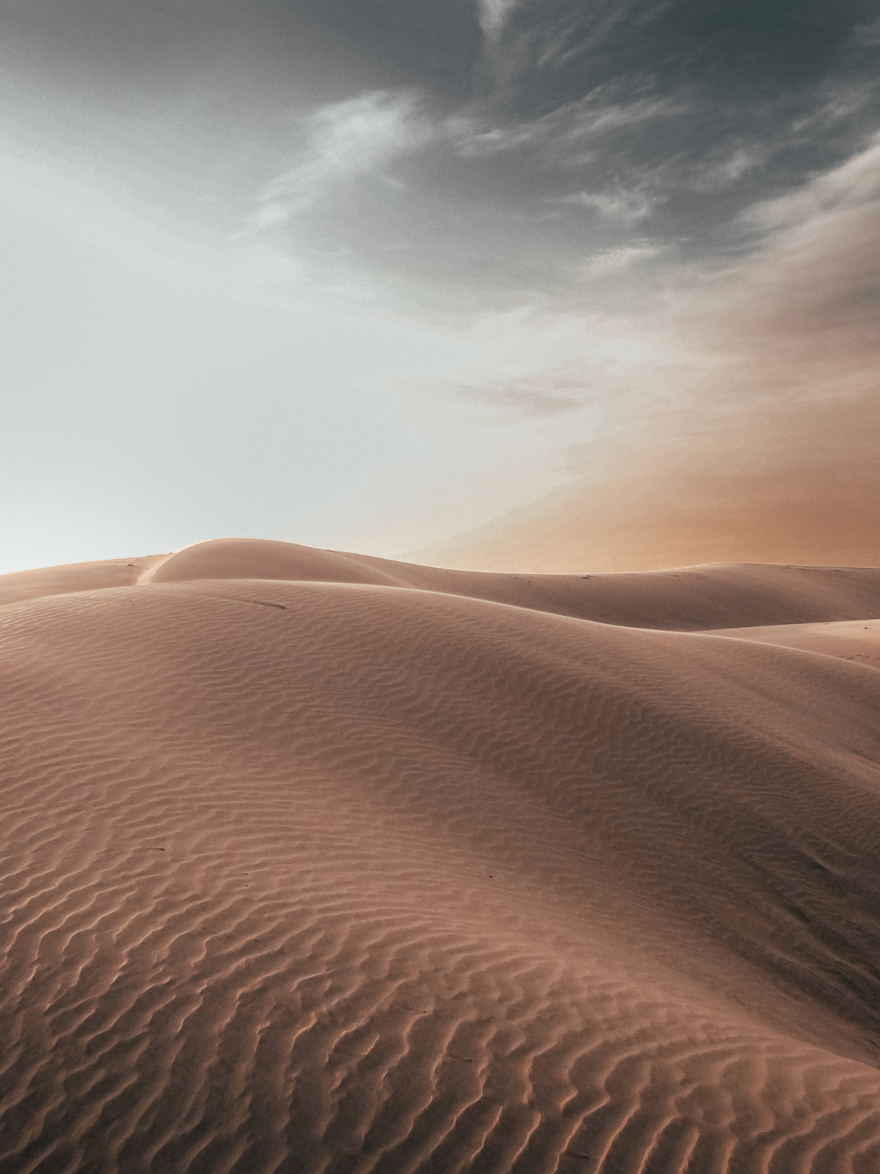 Untitled design (9).png