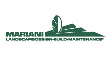 LOGO_MARIANI.gif