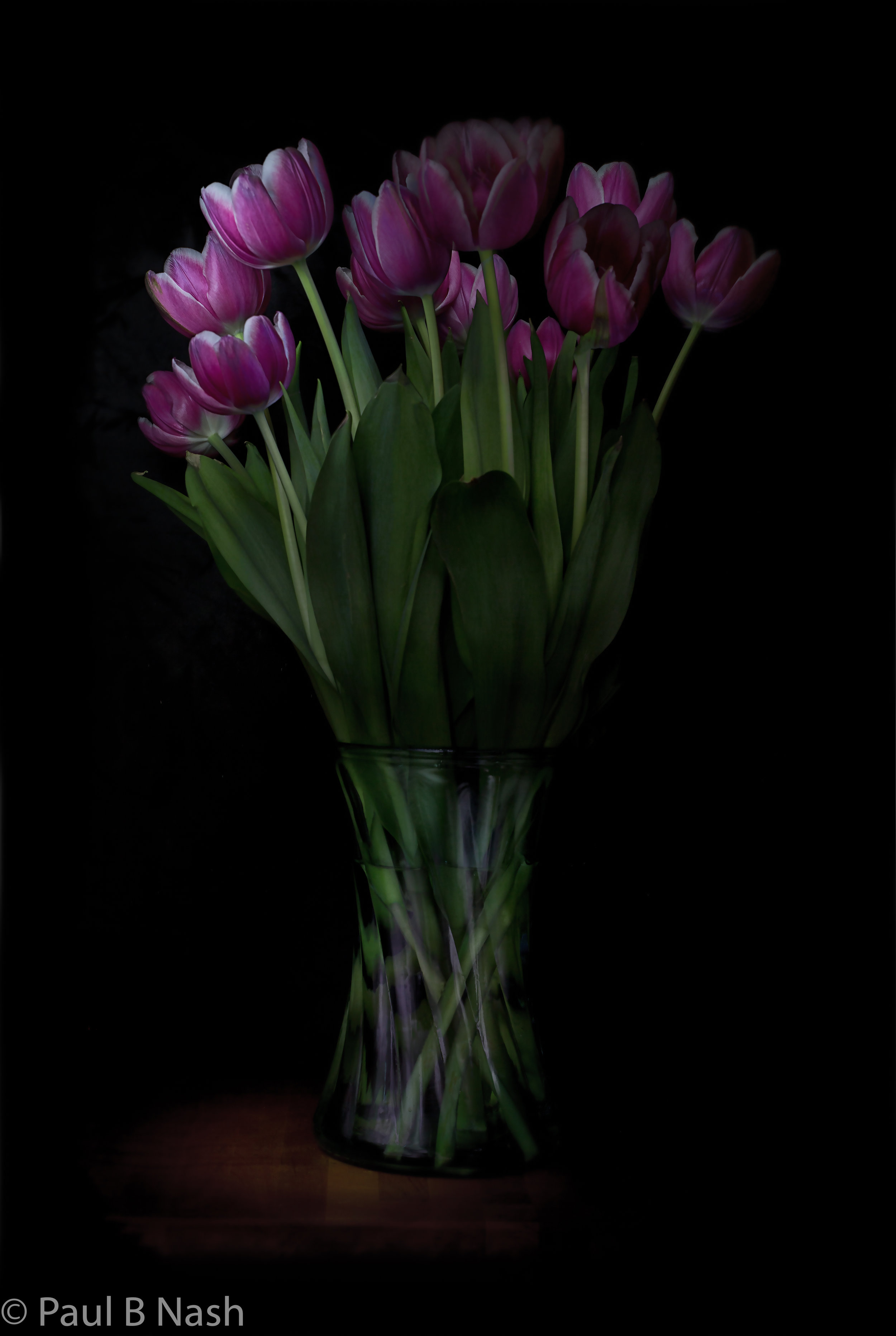 tulips 10 copywright.jpg