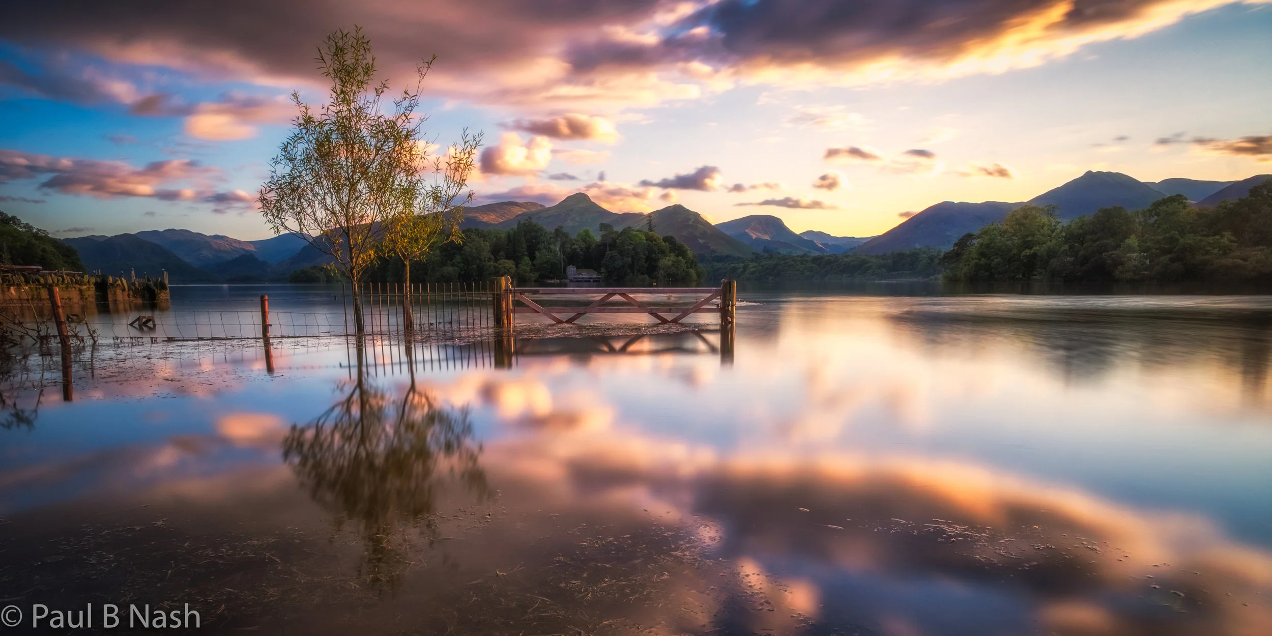 Tree and gate copyright.jpg
