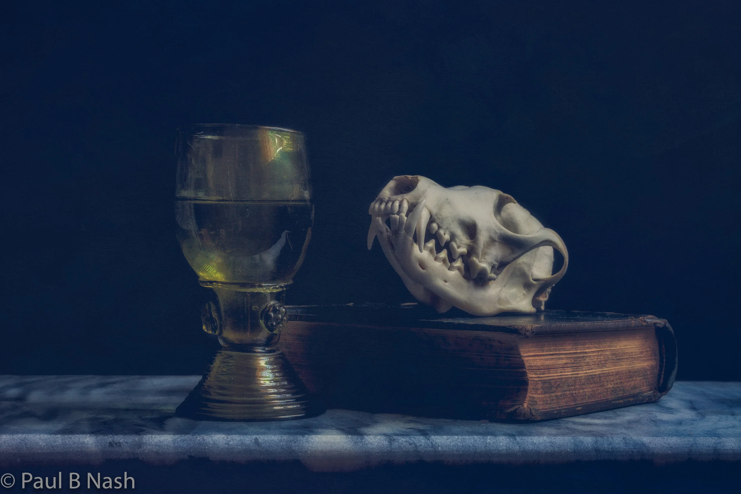Glass and skull 3 for sell new sell copywright.jpg