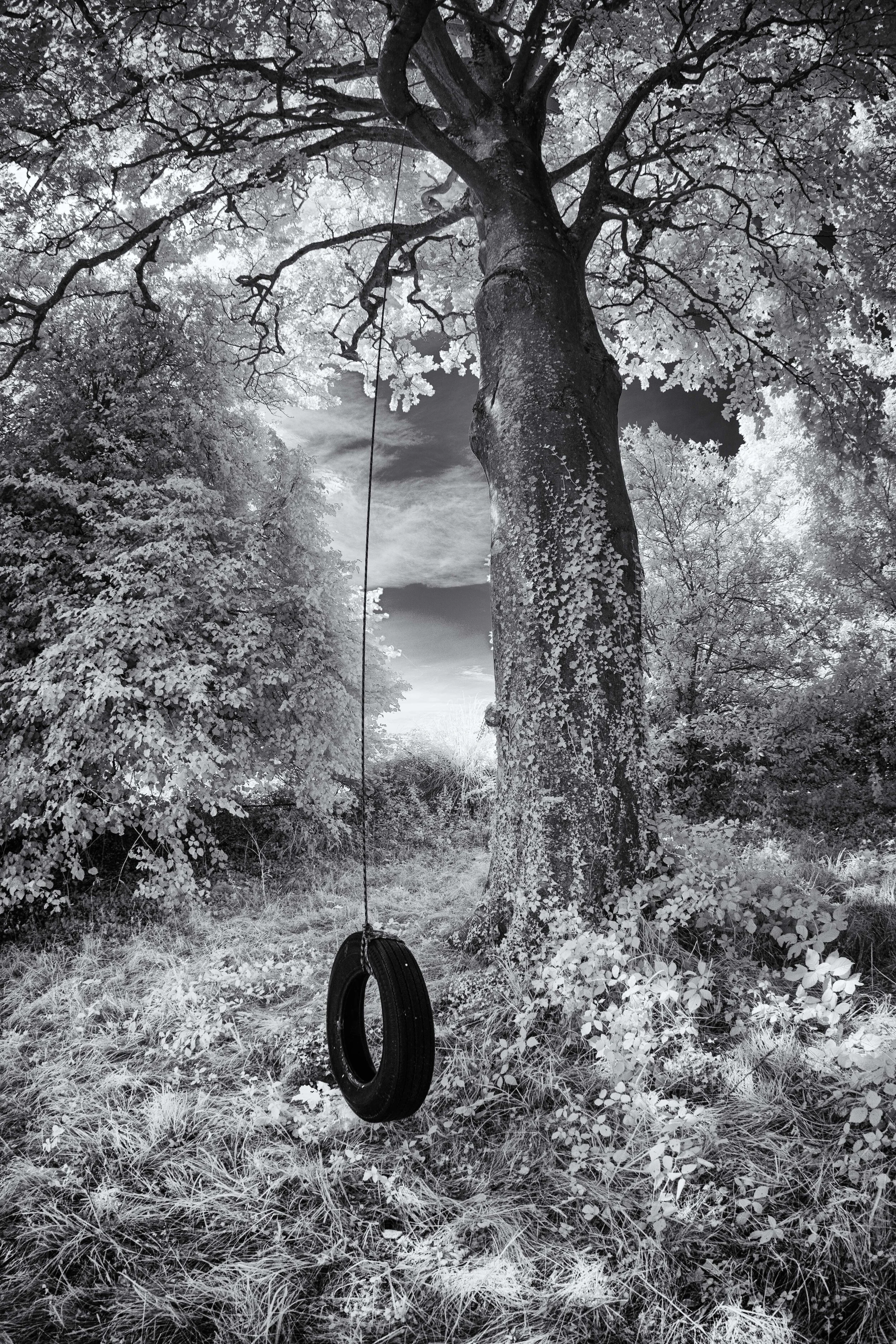 tyre infrared.jpg