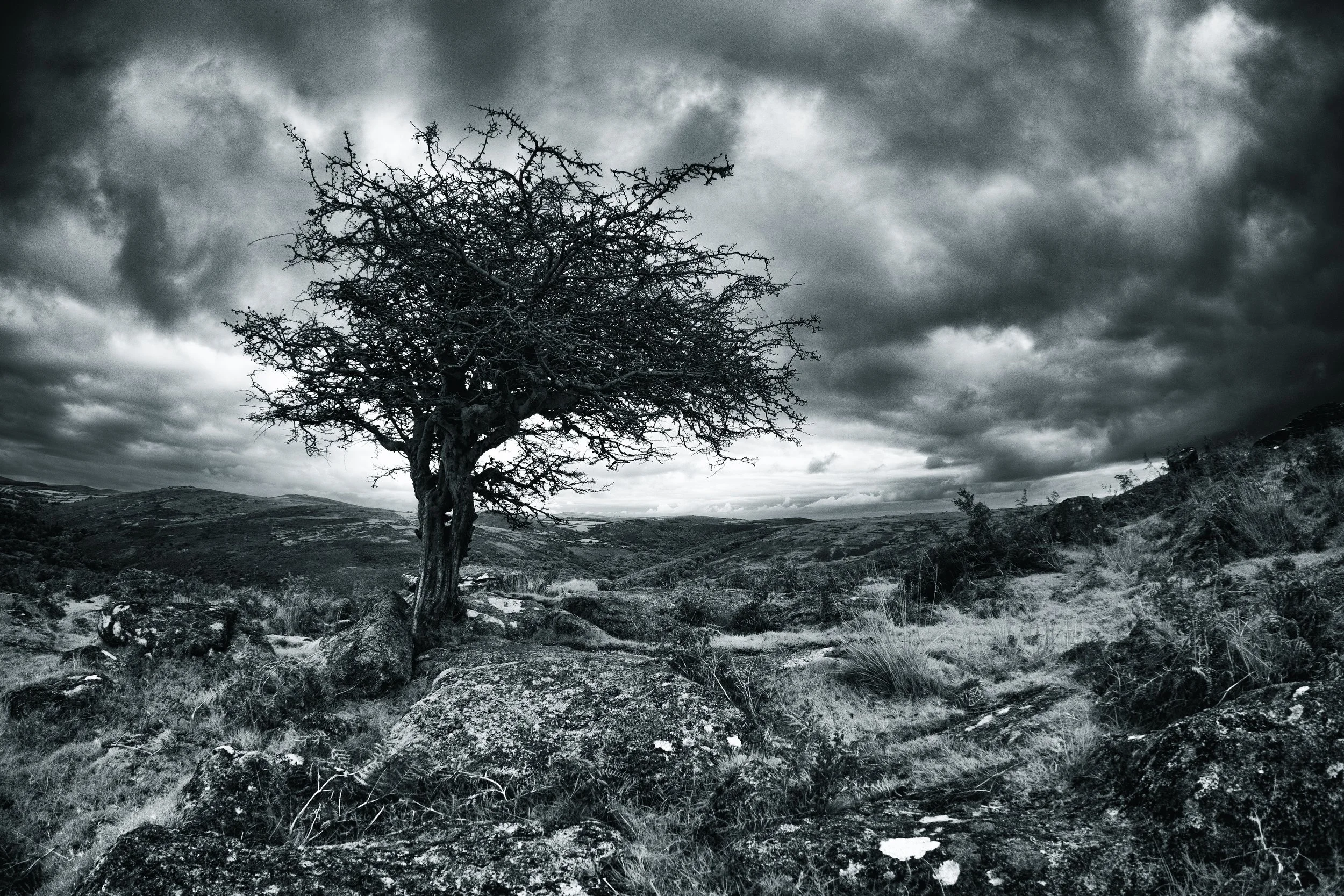 Dartmoor classic lower.jpg