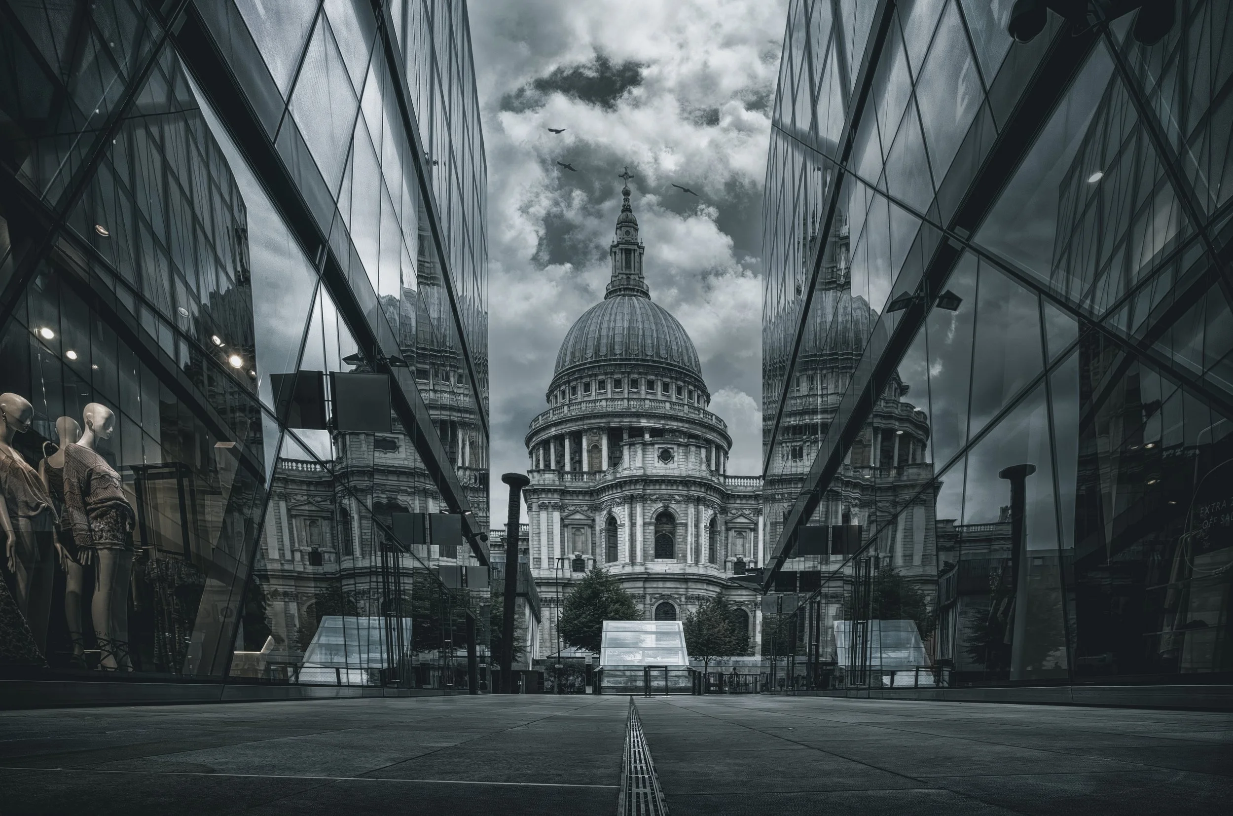 st pauls birds darcool_.jpg