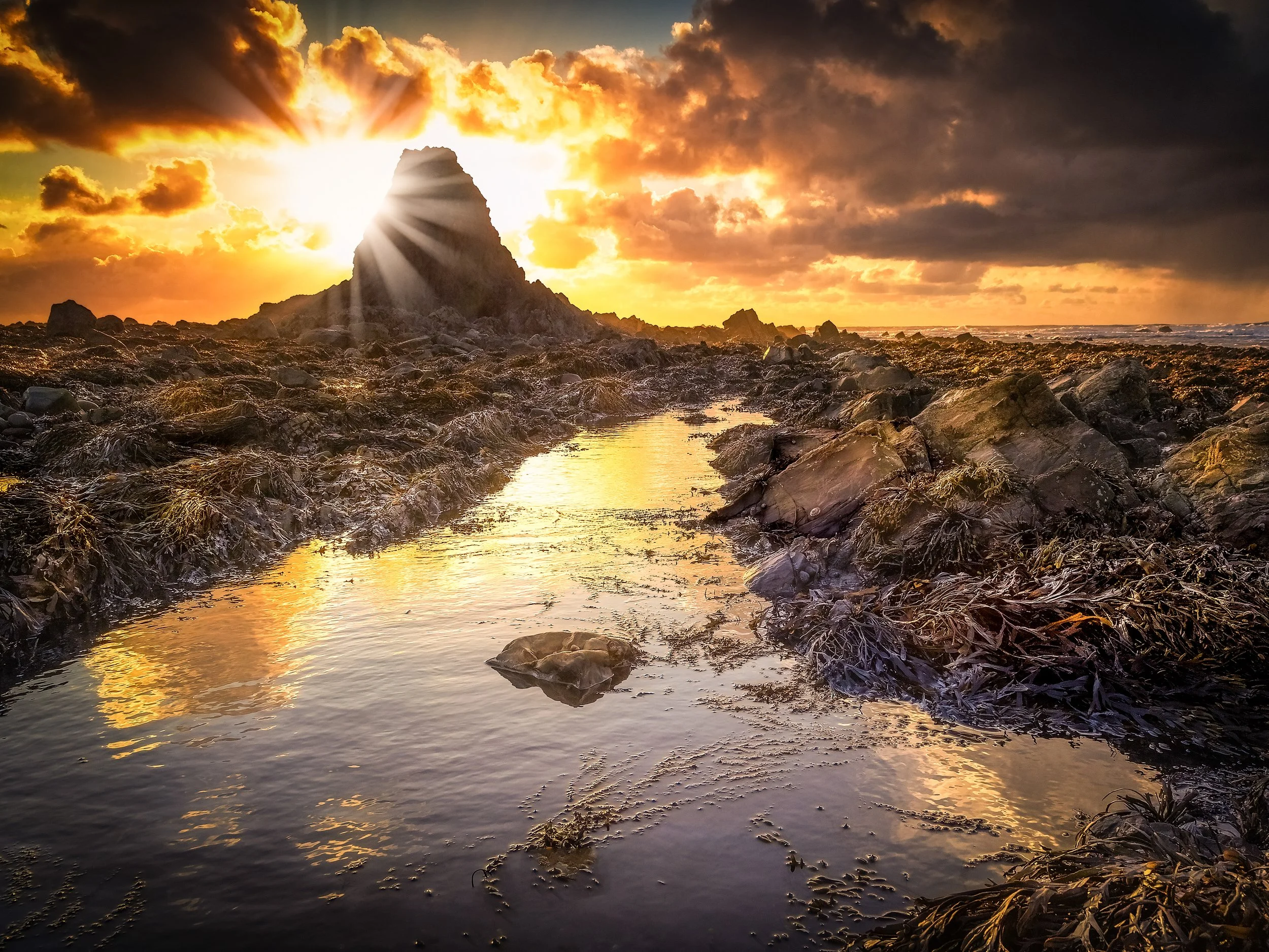 widemouth sunburst_.jpg