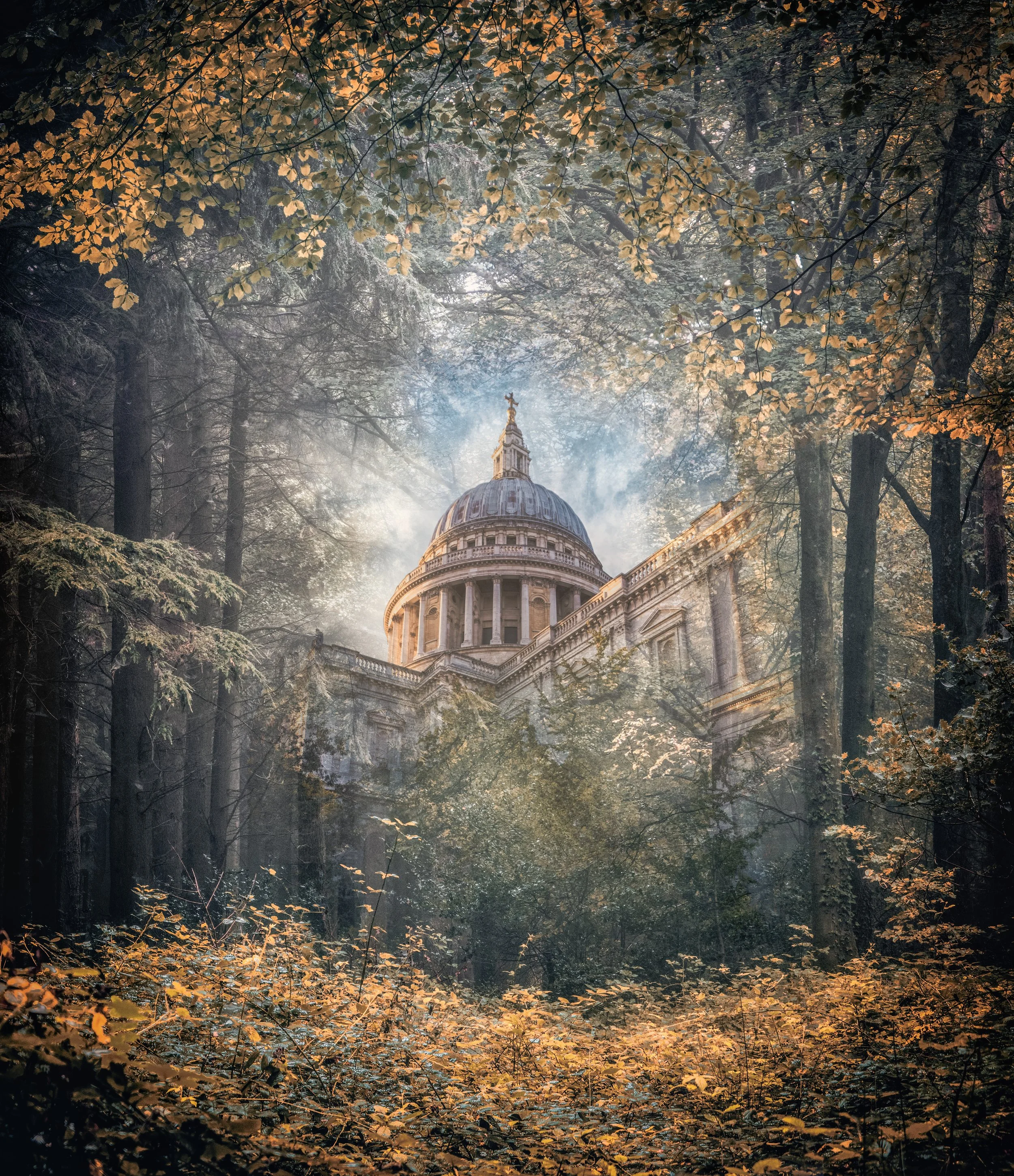 st pauls autumn reflection.jpg