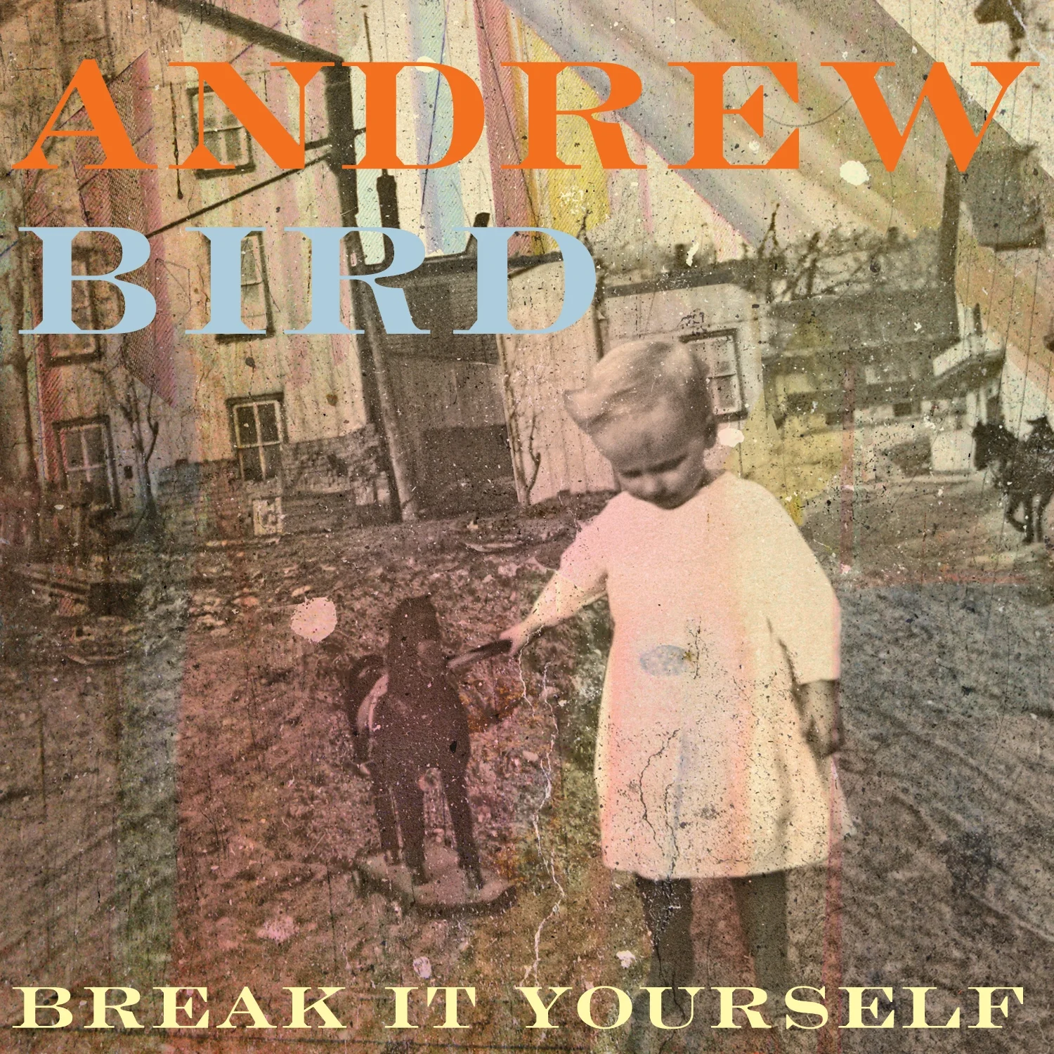 Andrew Bird 'Break it Yourself'