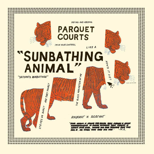 Parquet Courts 'Sunbathing Animal'