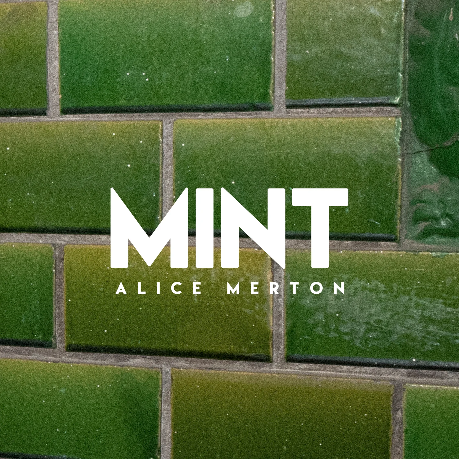 AliceMerton_MINT_CoverDummy.jpg