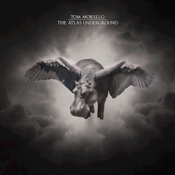 TAU - Tom Morello Gif.gif