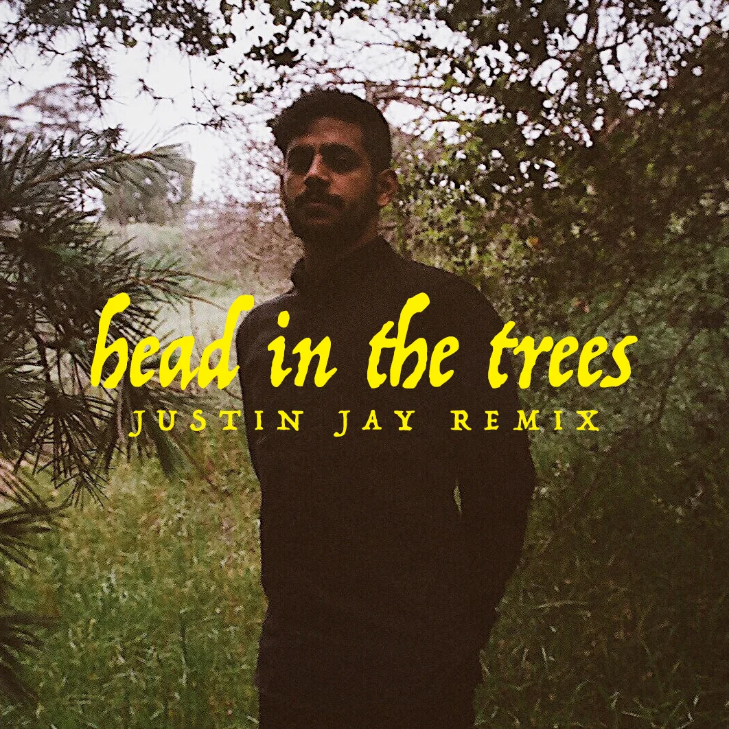 Hotel Garuda Links with Justin Jay for "Head in the Trees" Remix HG_HITT_artwork_v2 (1).jpg