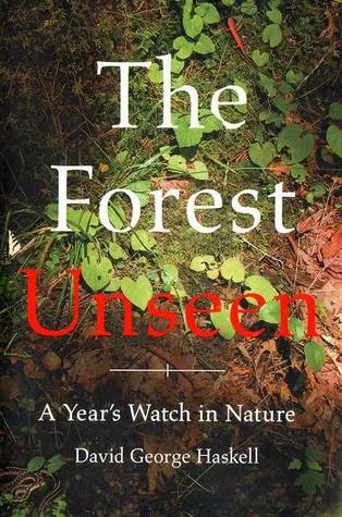 forest unseen.jpg