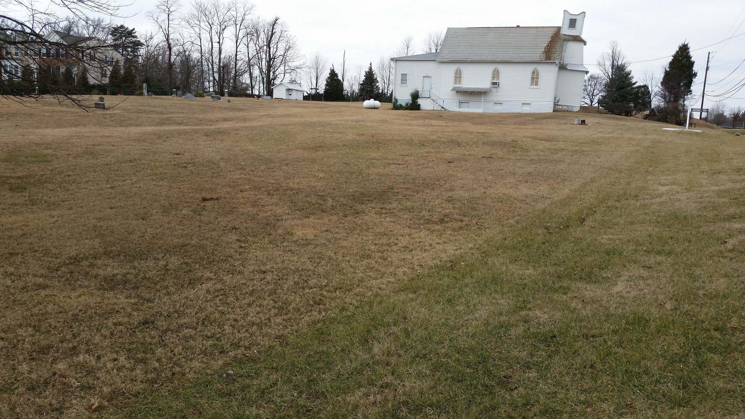 Large slope of turf/weeds that we will be replacing with native plants. What an exciting thing -- to be able to watch the conversion process over time as the plants take root and begin to grow. By next year they should look great for the 150th celebration of Pleasant View.