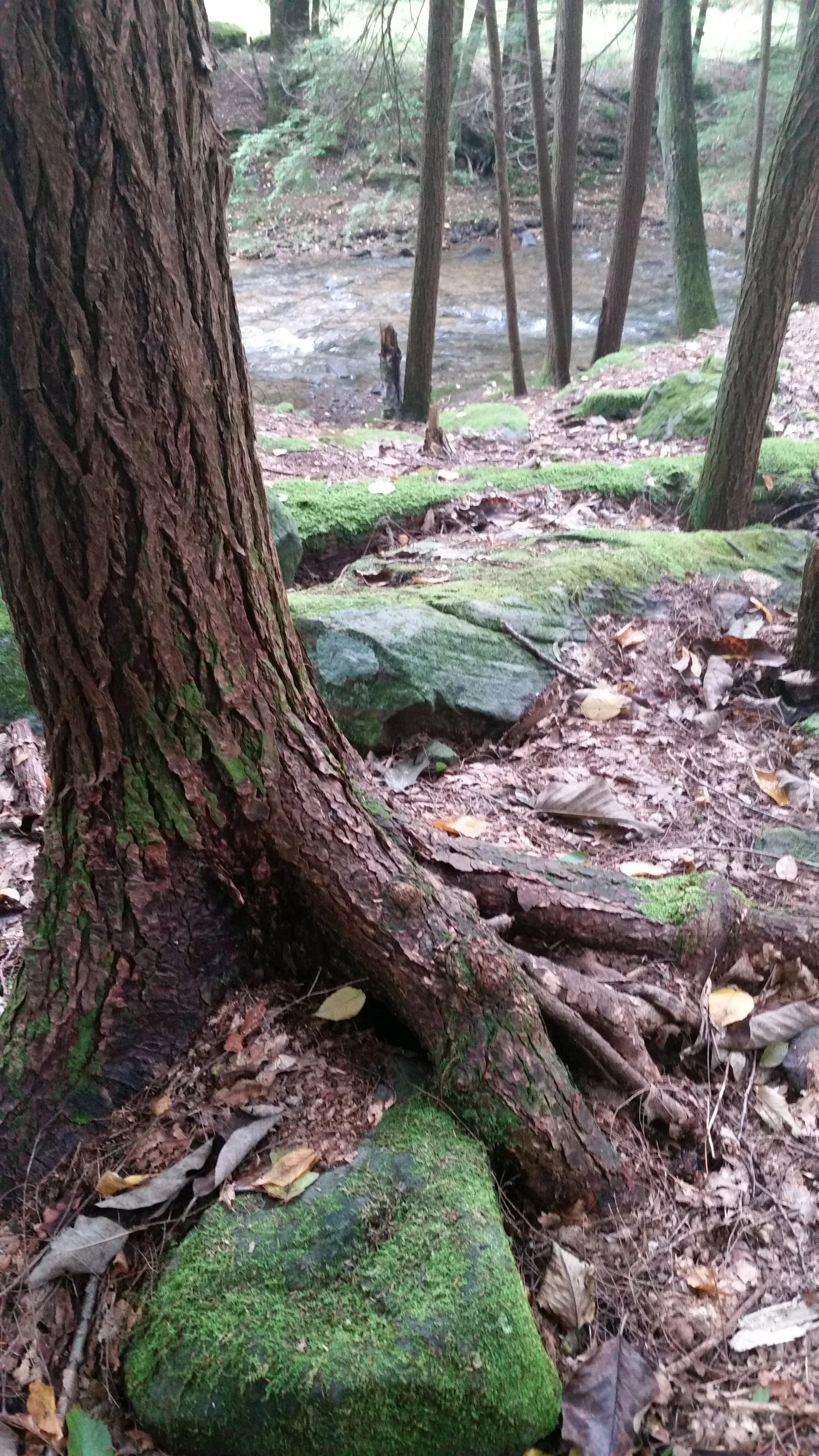 20181002_160634.jpg