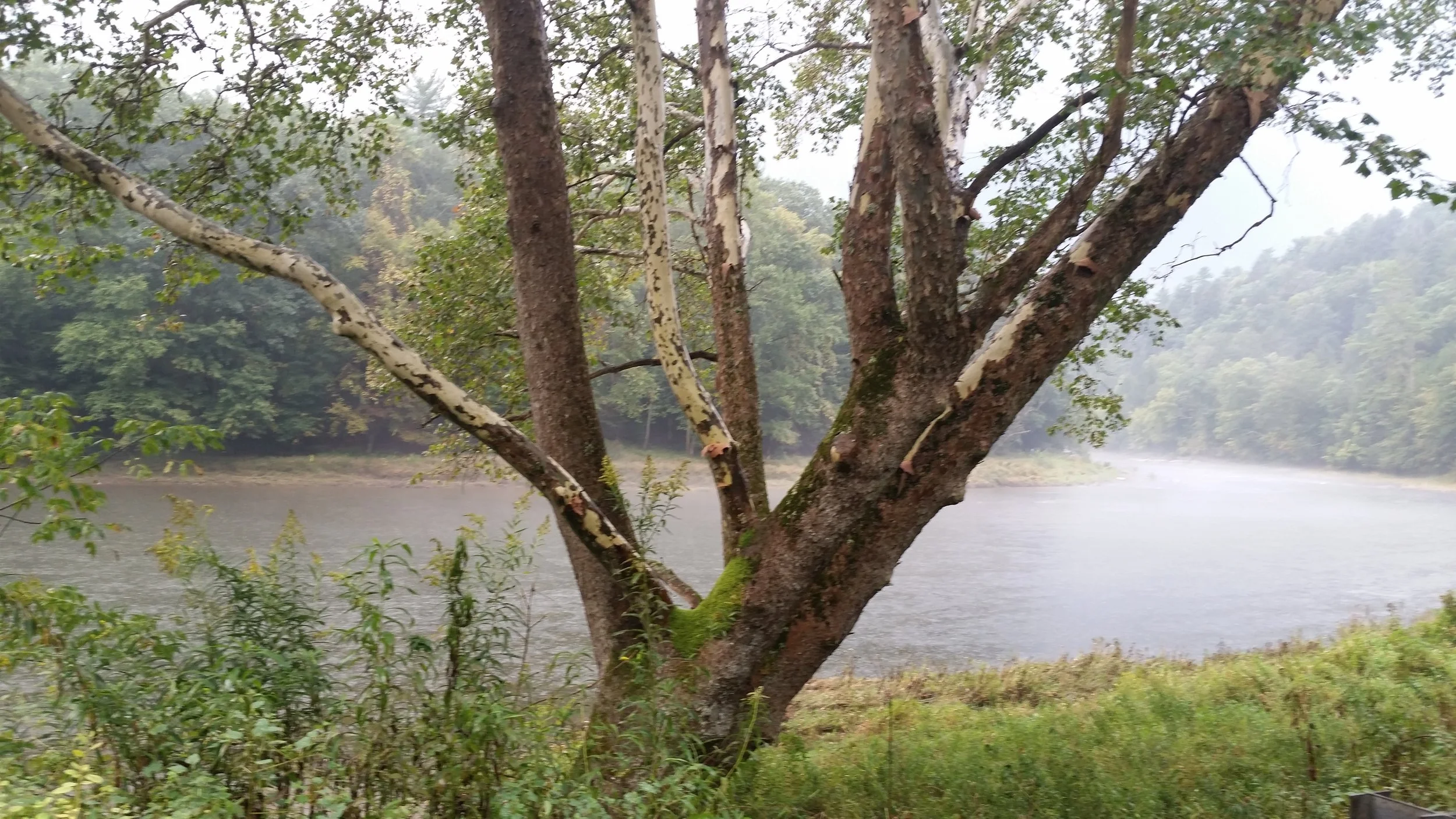 20181002_173431.jpg