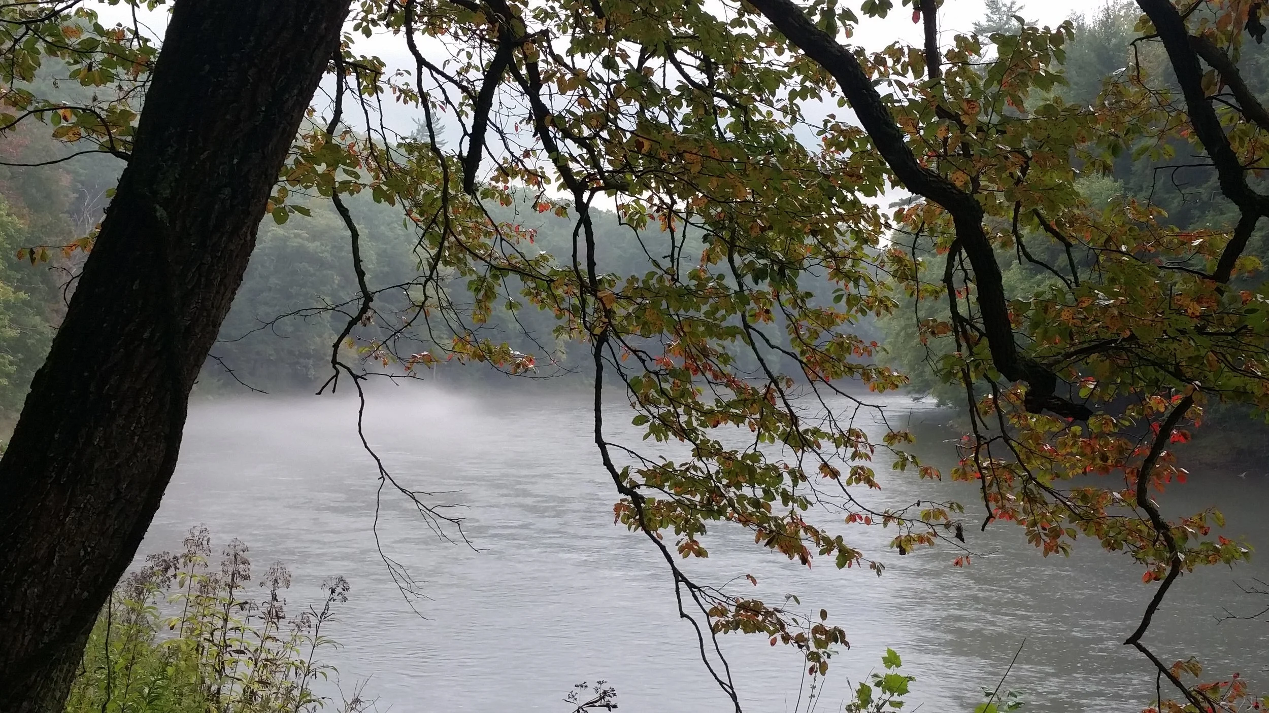20181002_173824.jpg