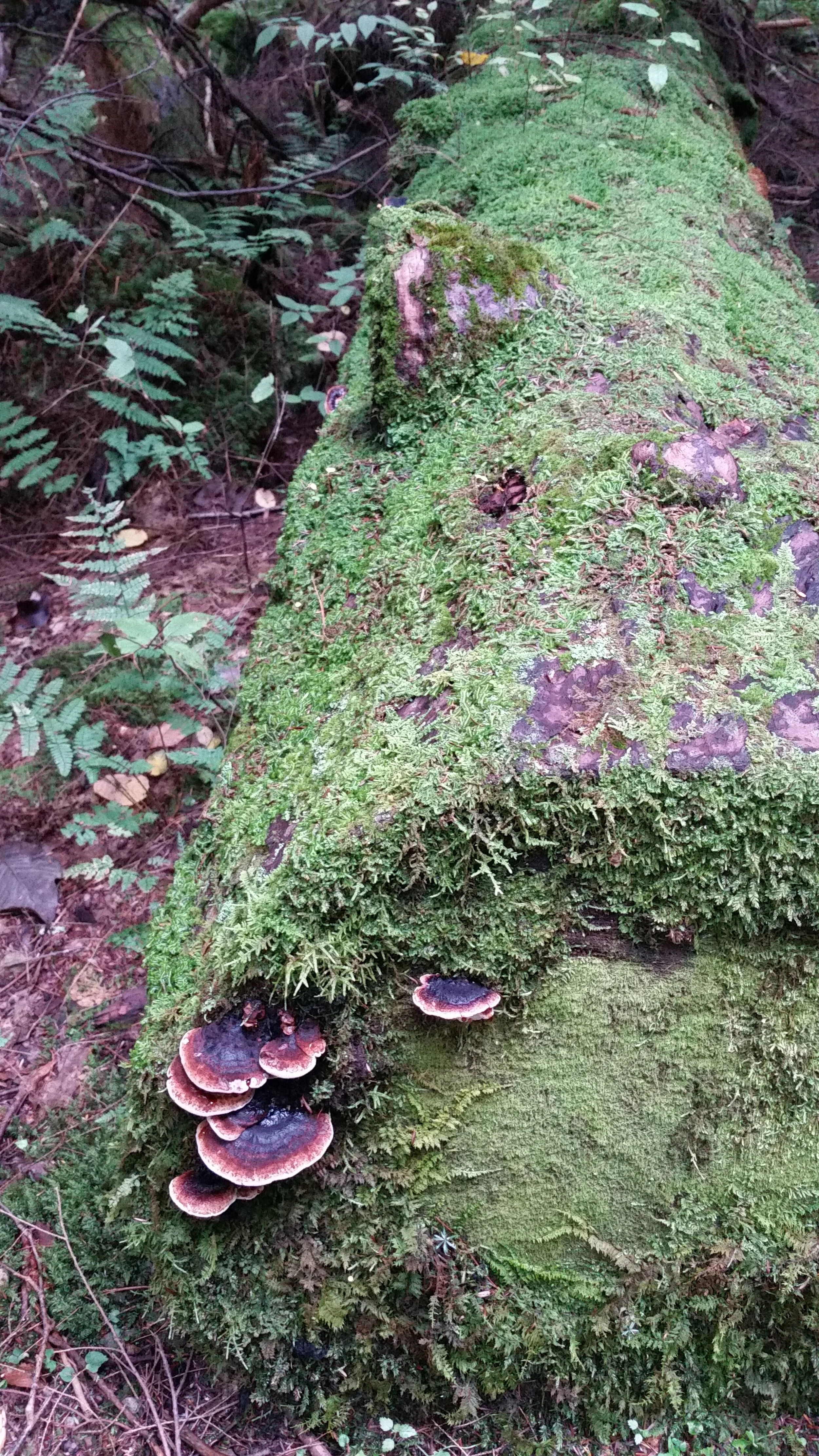 20181003_112206.jpg