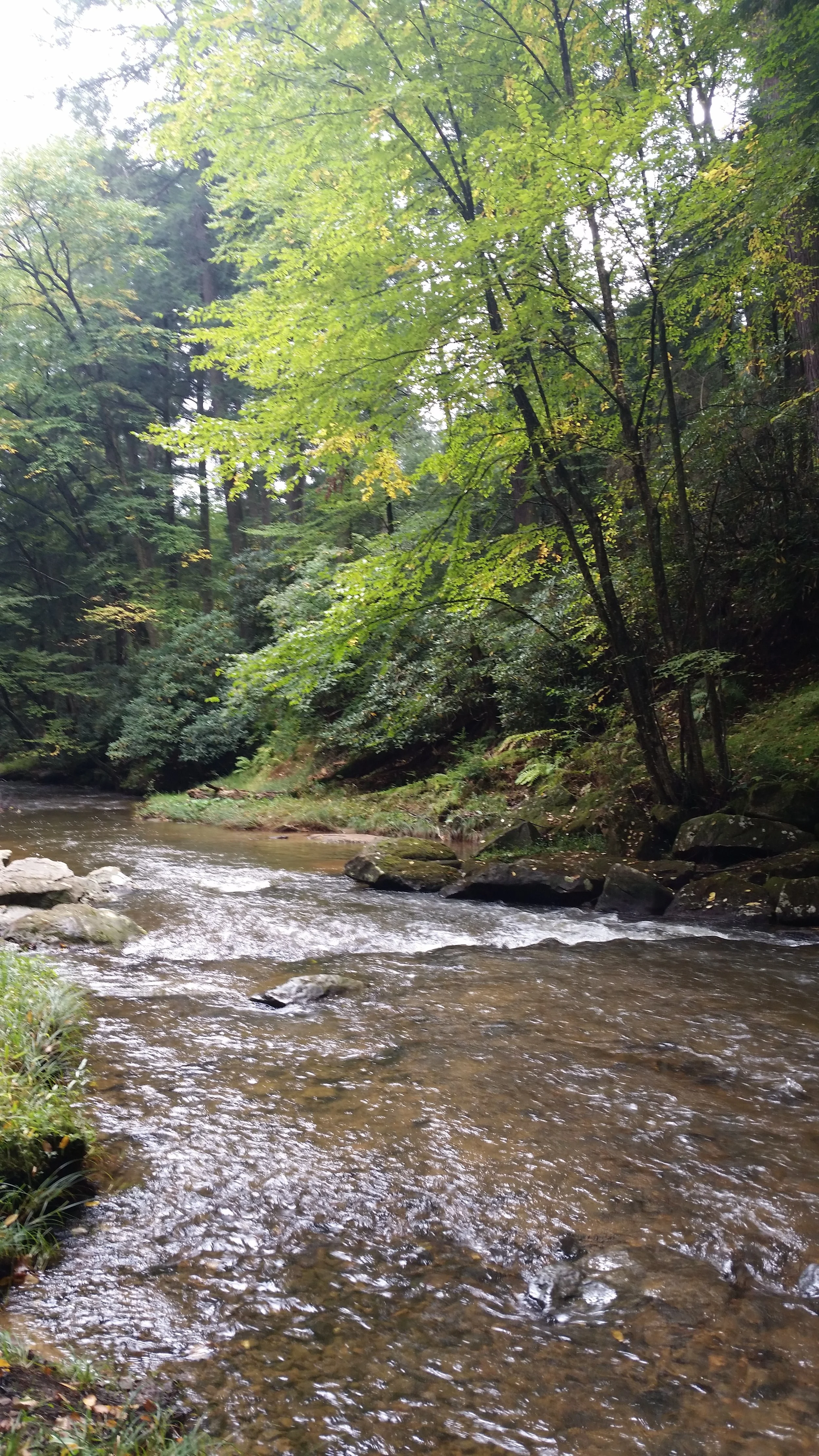 20181003_114325.jpg