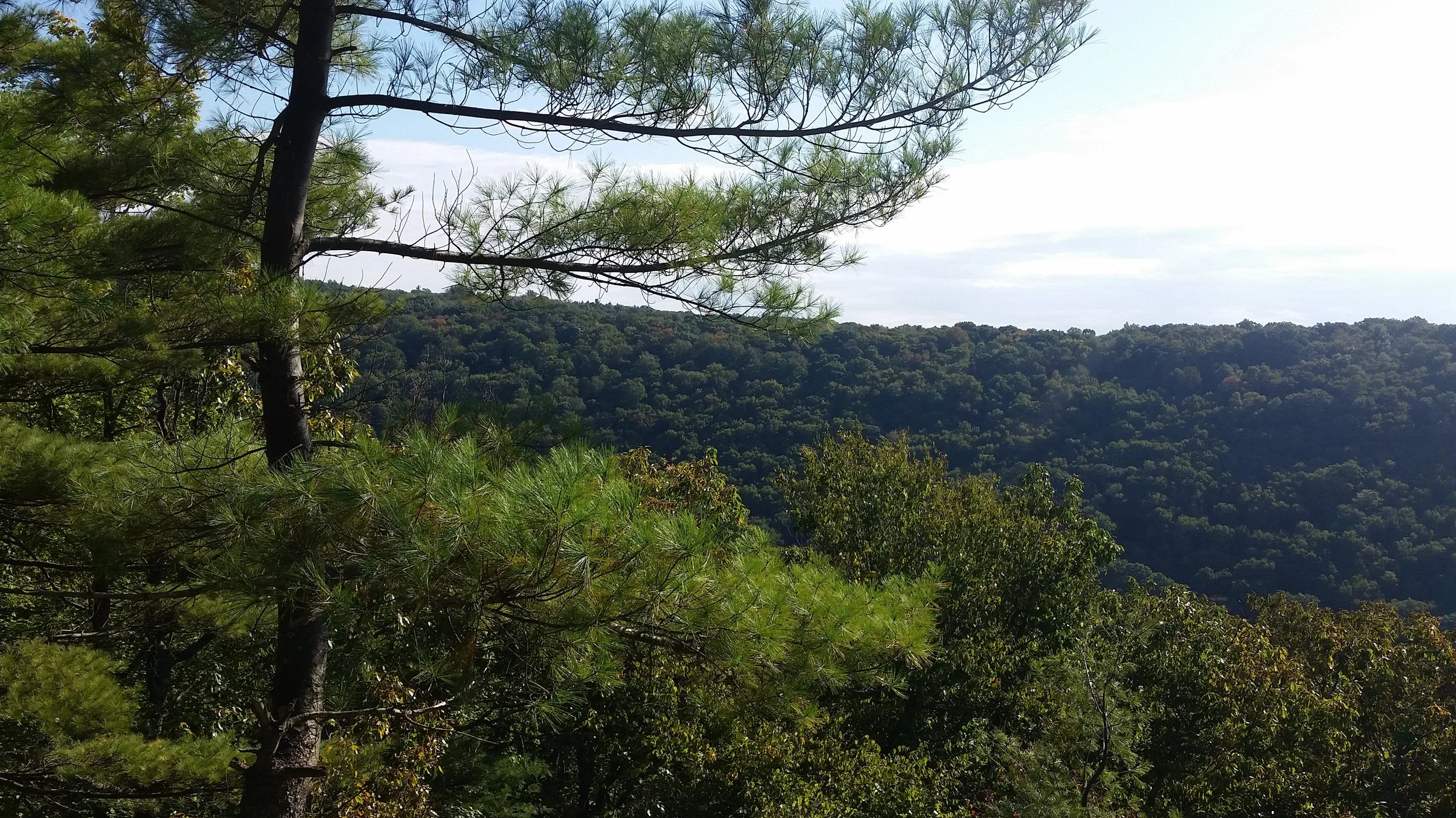 20181003_155400.jpg