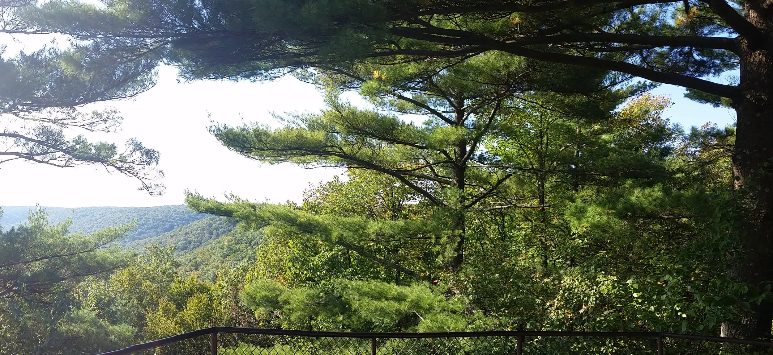 20181003_155441.jpg